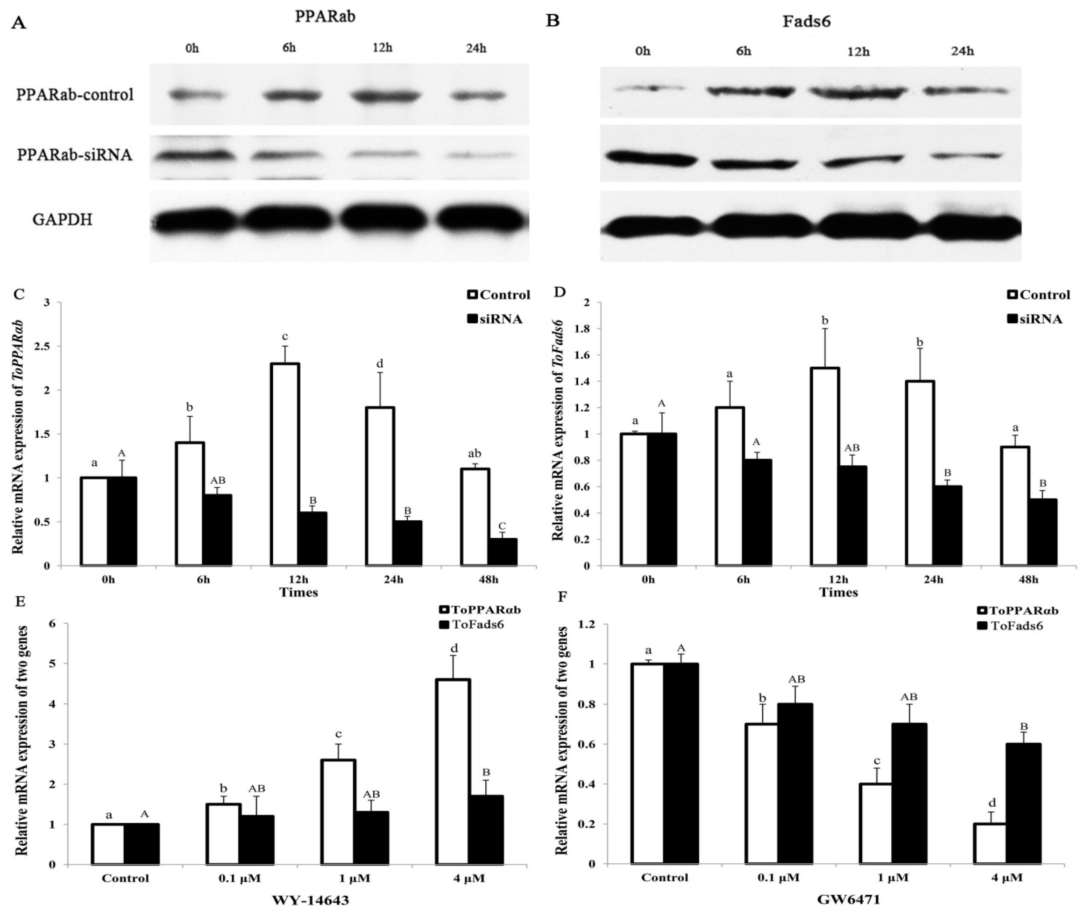 Ijms 20 00023 g007 Ijms 20 00023 g007