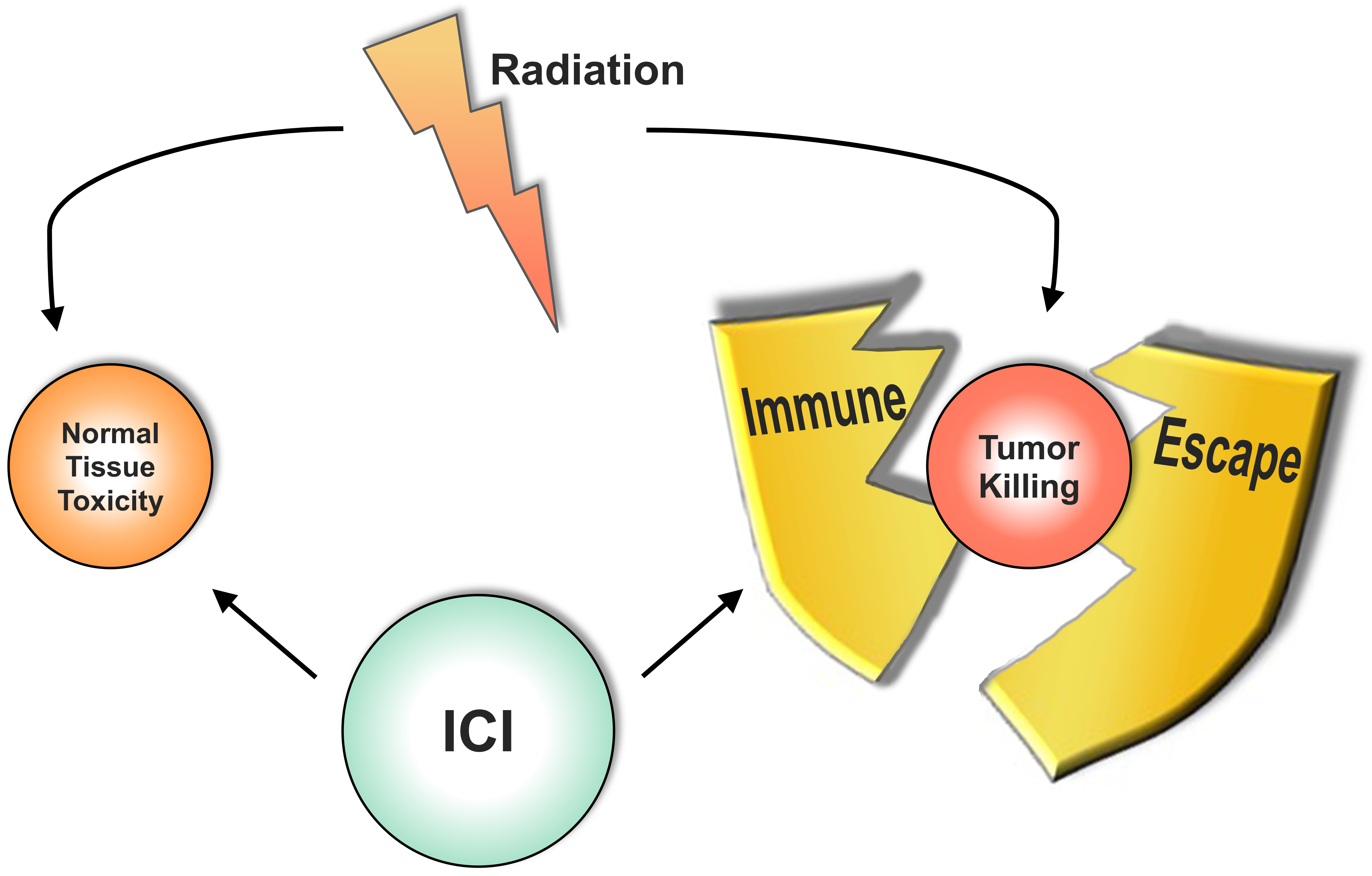 Radiotherapy And Immunotherapy All About Radiation