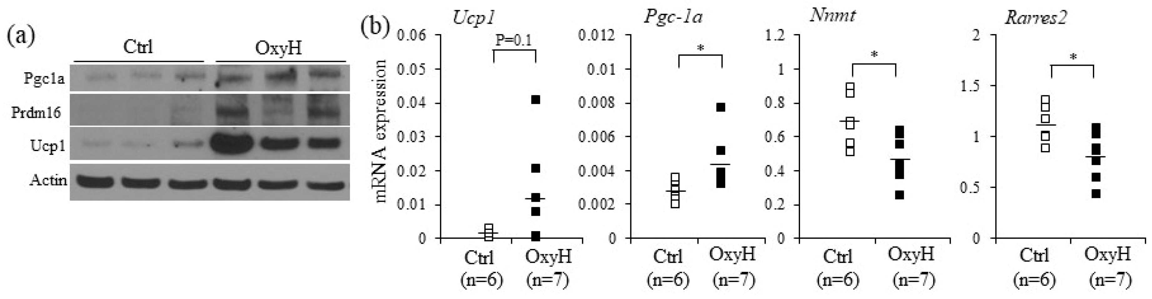 Ijms 20 00026 g003 Ijms 20 00026 g003