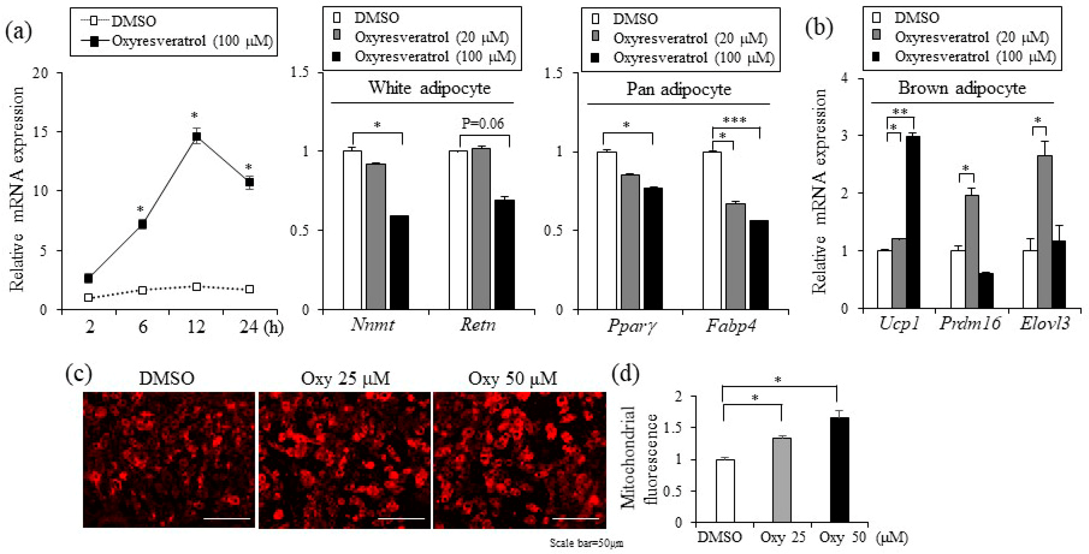 Ijms 20 00026 g004 Ijms 20 00026 g004