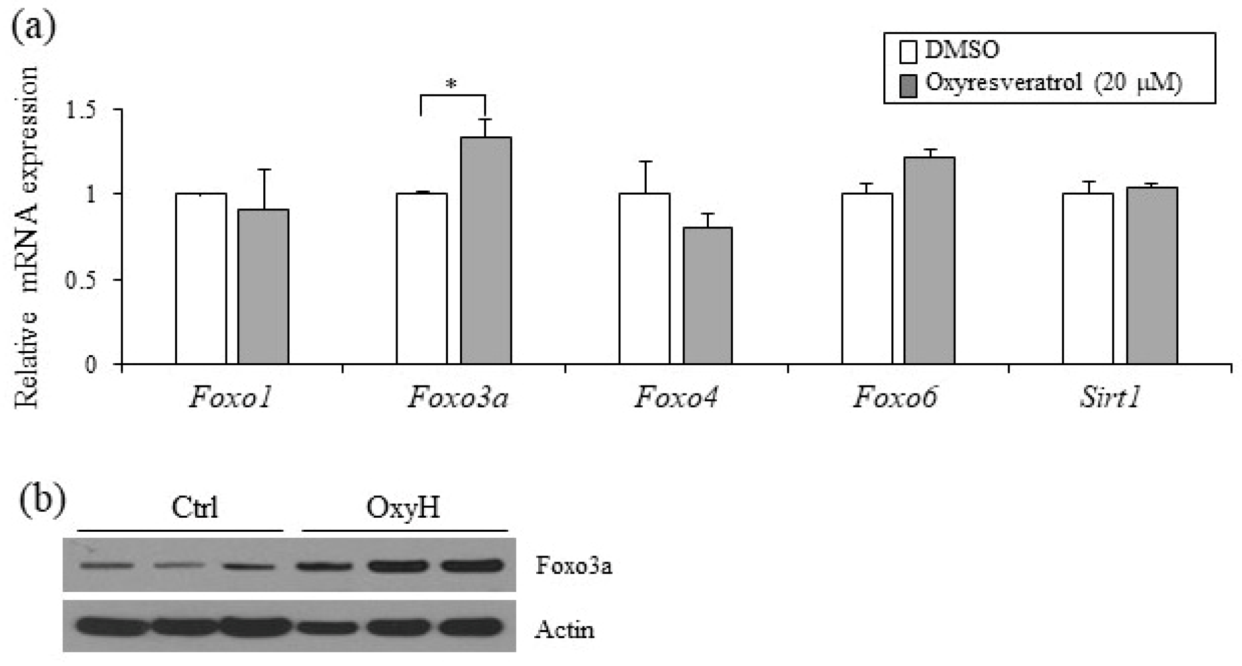 Ijms 20 00026 g005 Ijms 20 00026 g005