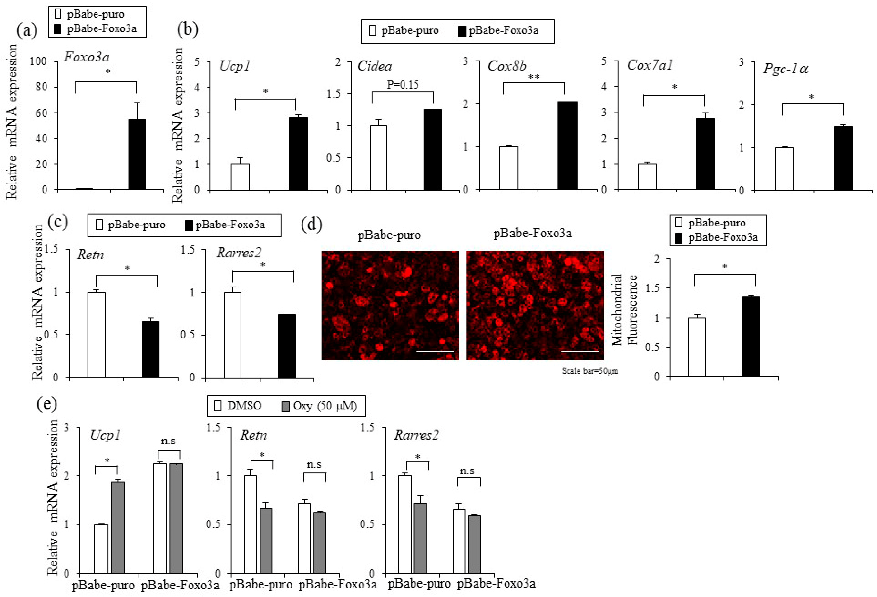 Ijms 20 00026 g006 Ijms 20 00026 g006