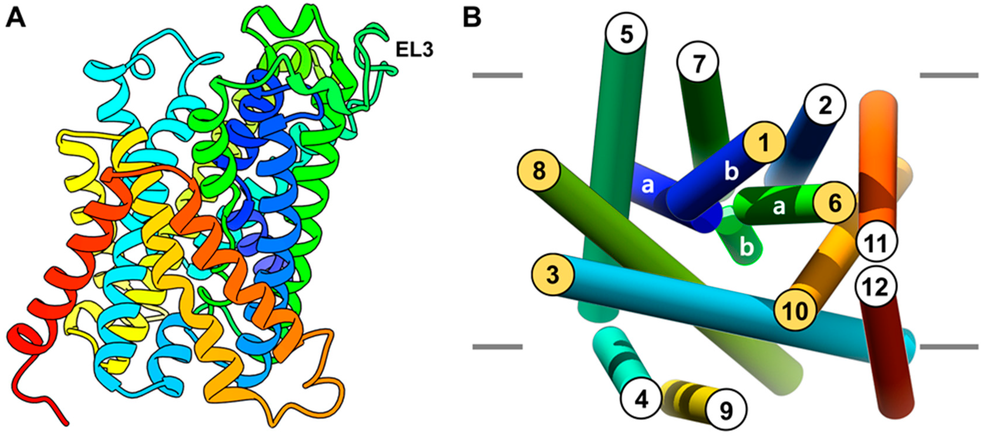 Ijms 20 00027 g002 Ijms 20 00027 g002