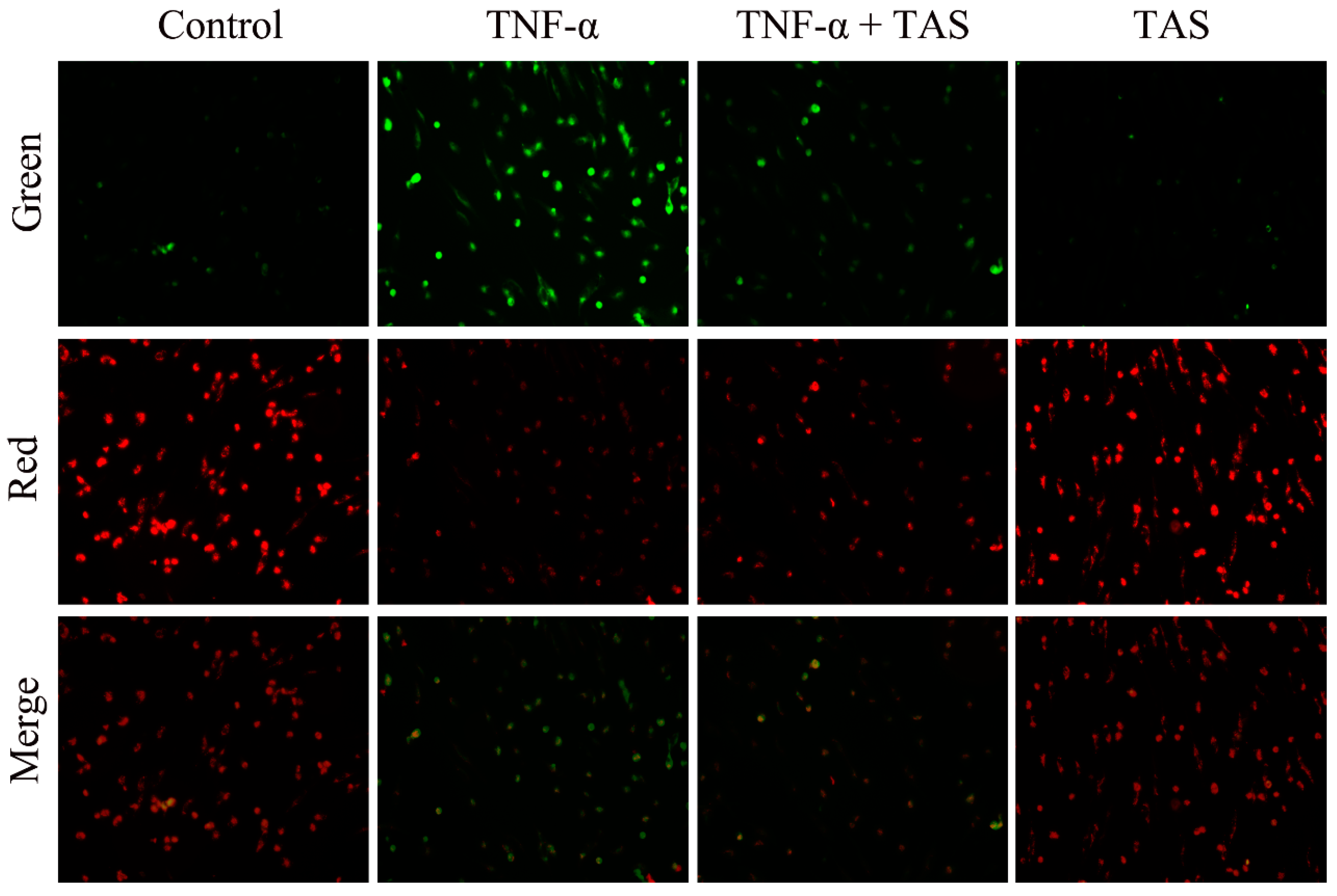 Ijms 20 00036 g002 Ijms 20 00036 g002