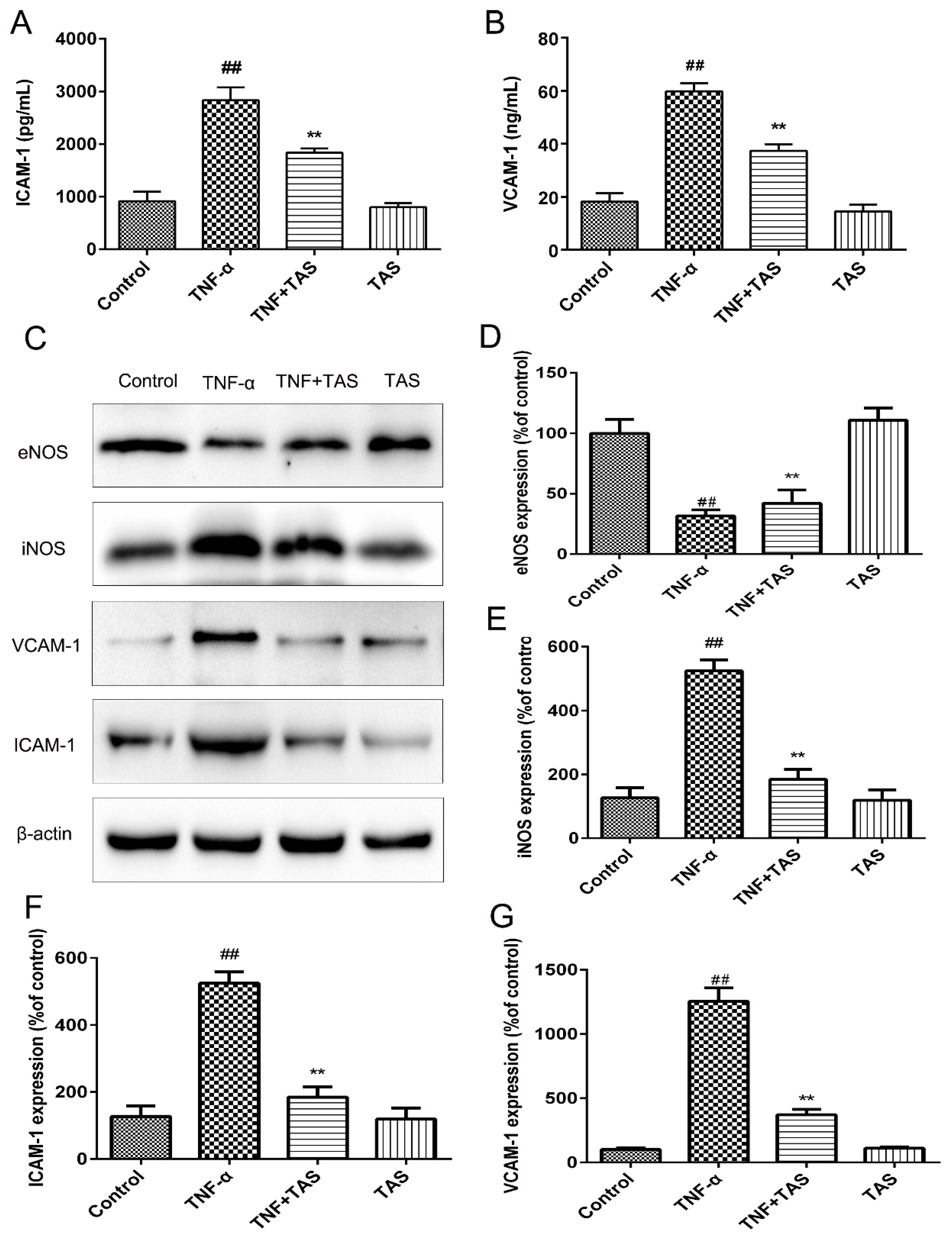 Ijms 20 00036 g004 Ijms 20 00036 g004