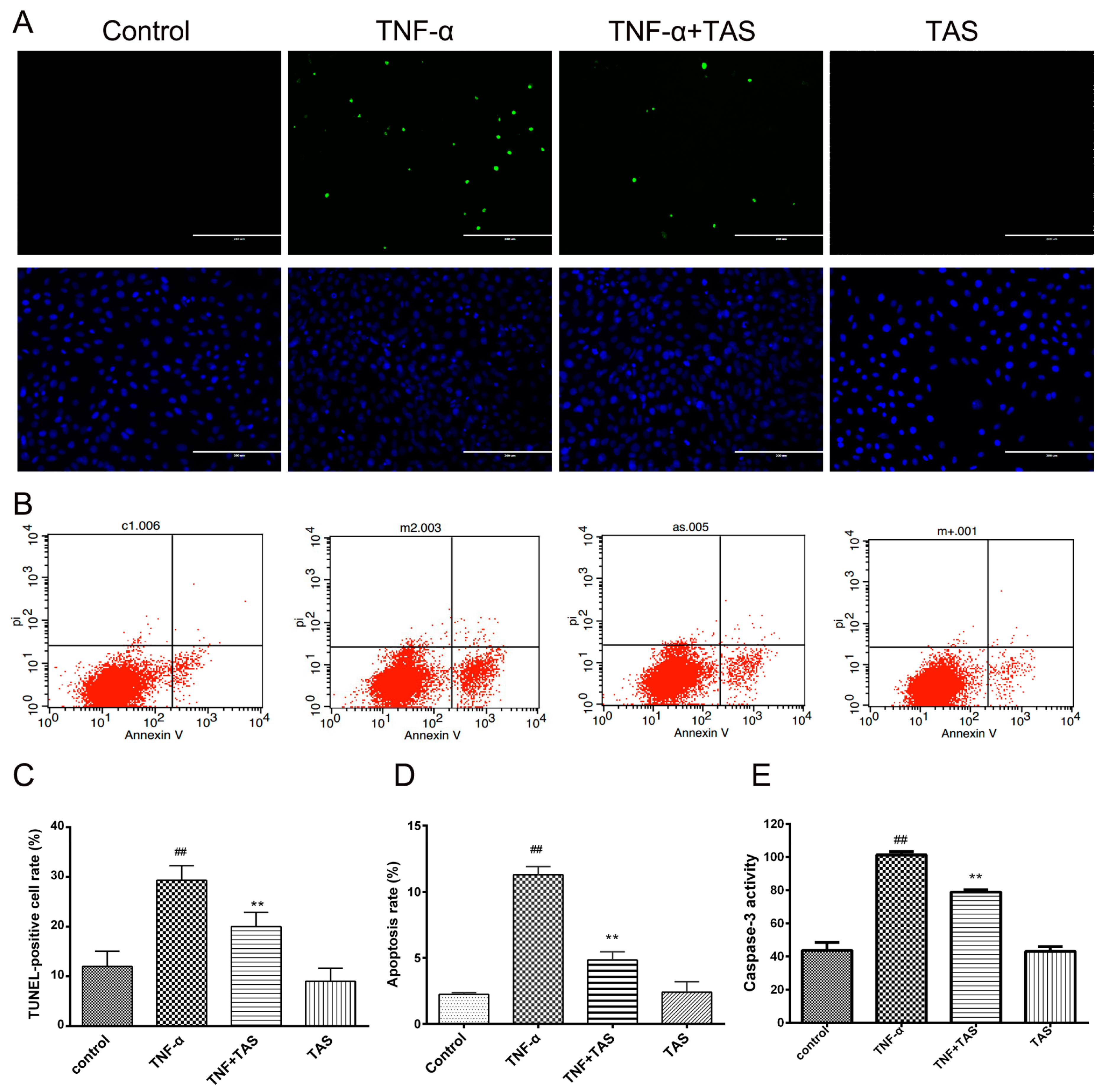 Ijms 20 00036 g005 Ijms 20 00036 g005