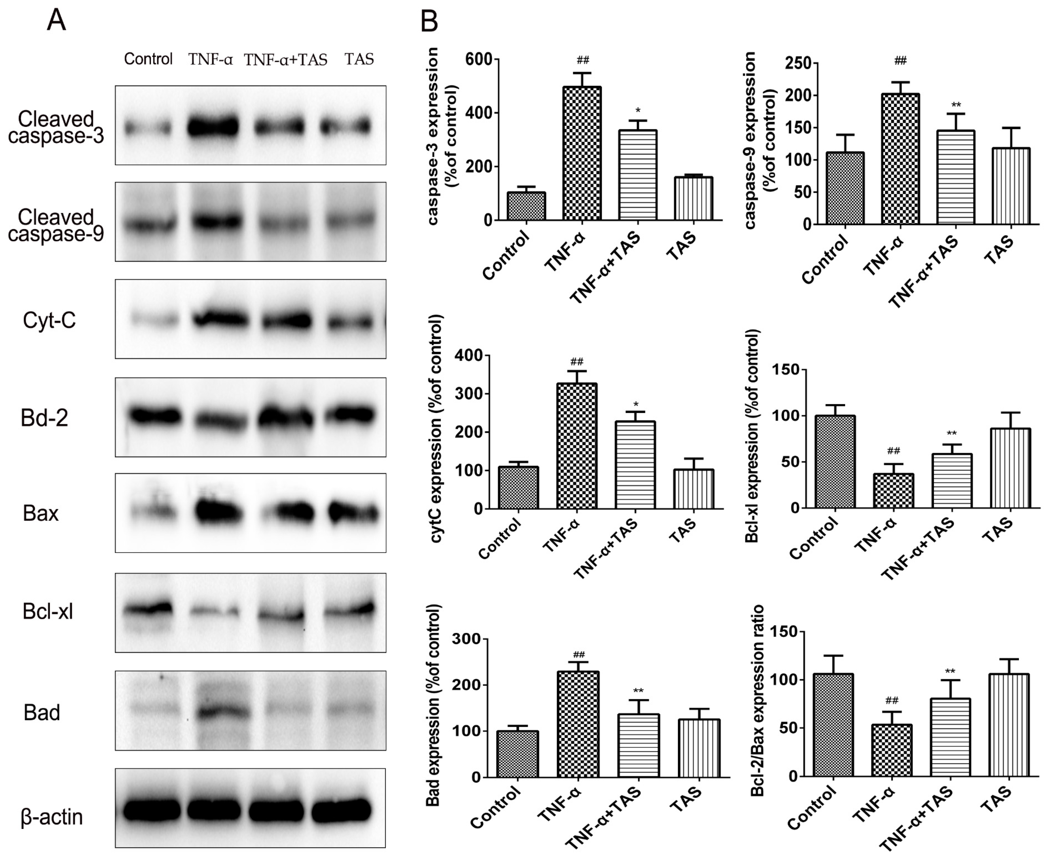 Ijms 20 00036 g006 Ijms 20 00036 g006