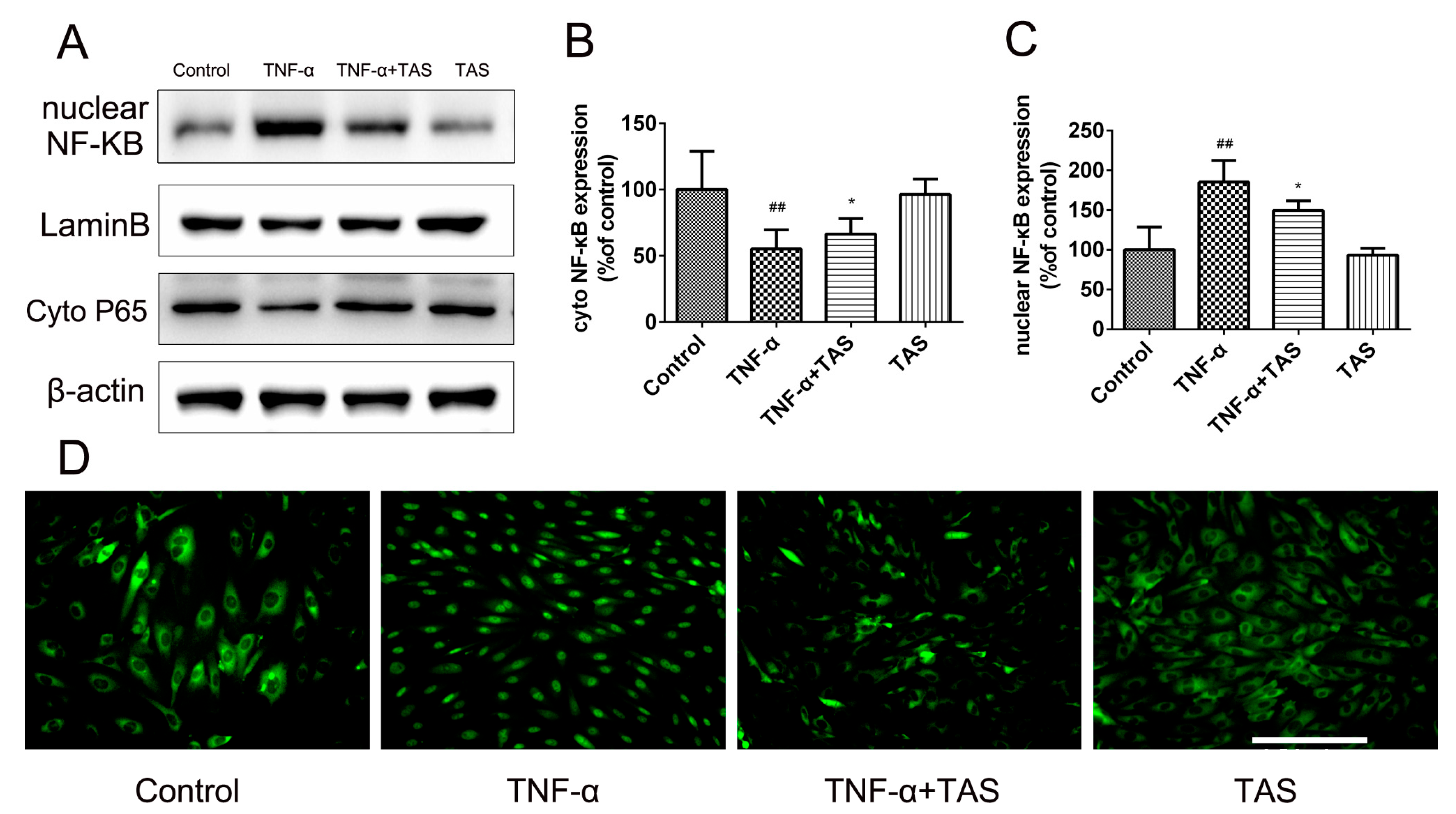 Ijms 20 00036 g007 Ijms 20 00036 g007