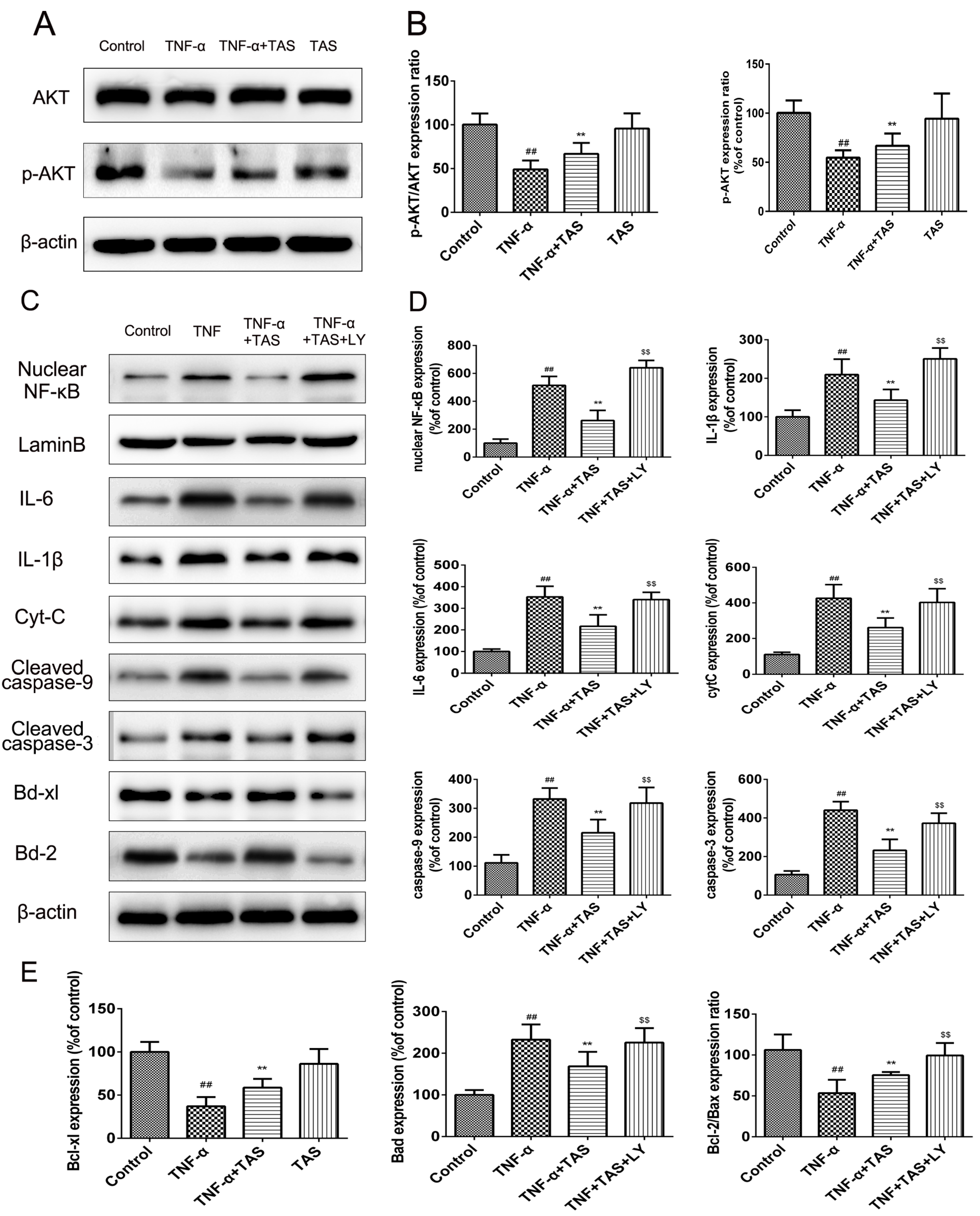 Ijms 20 00036 g008 Ijms 20 00036 g008