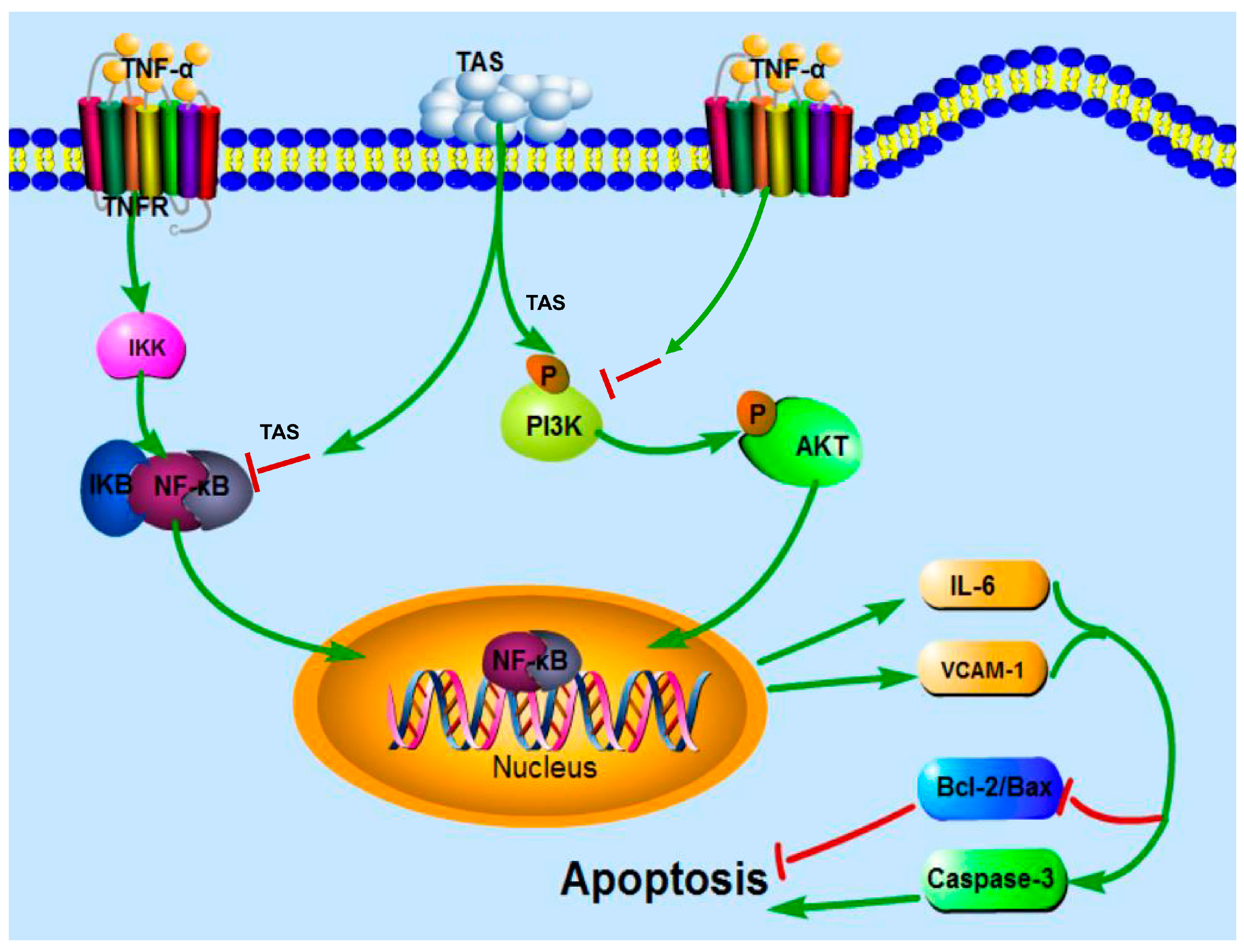 Ijms 20 00036 g009 Ijms 20 00036 g009