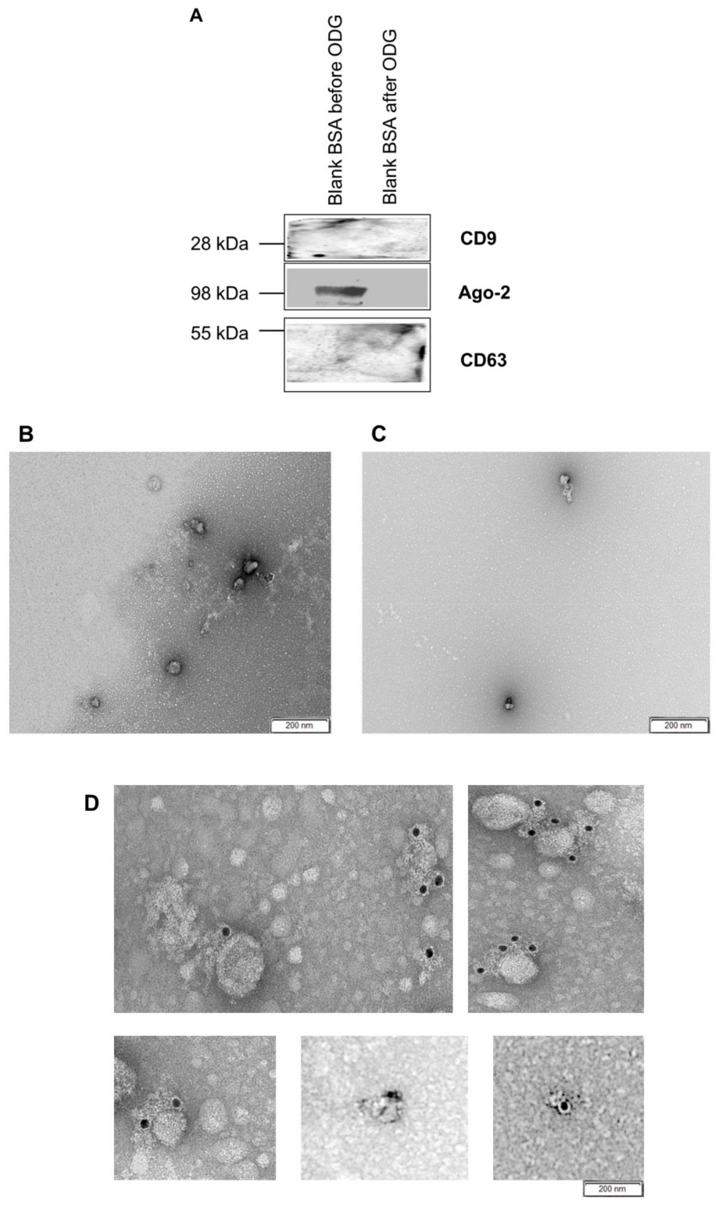 Ijms 20 00038 g003