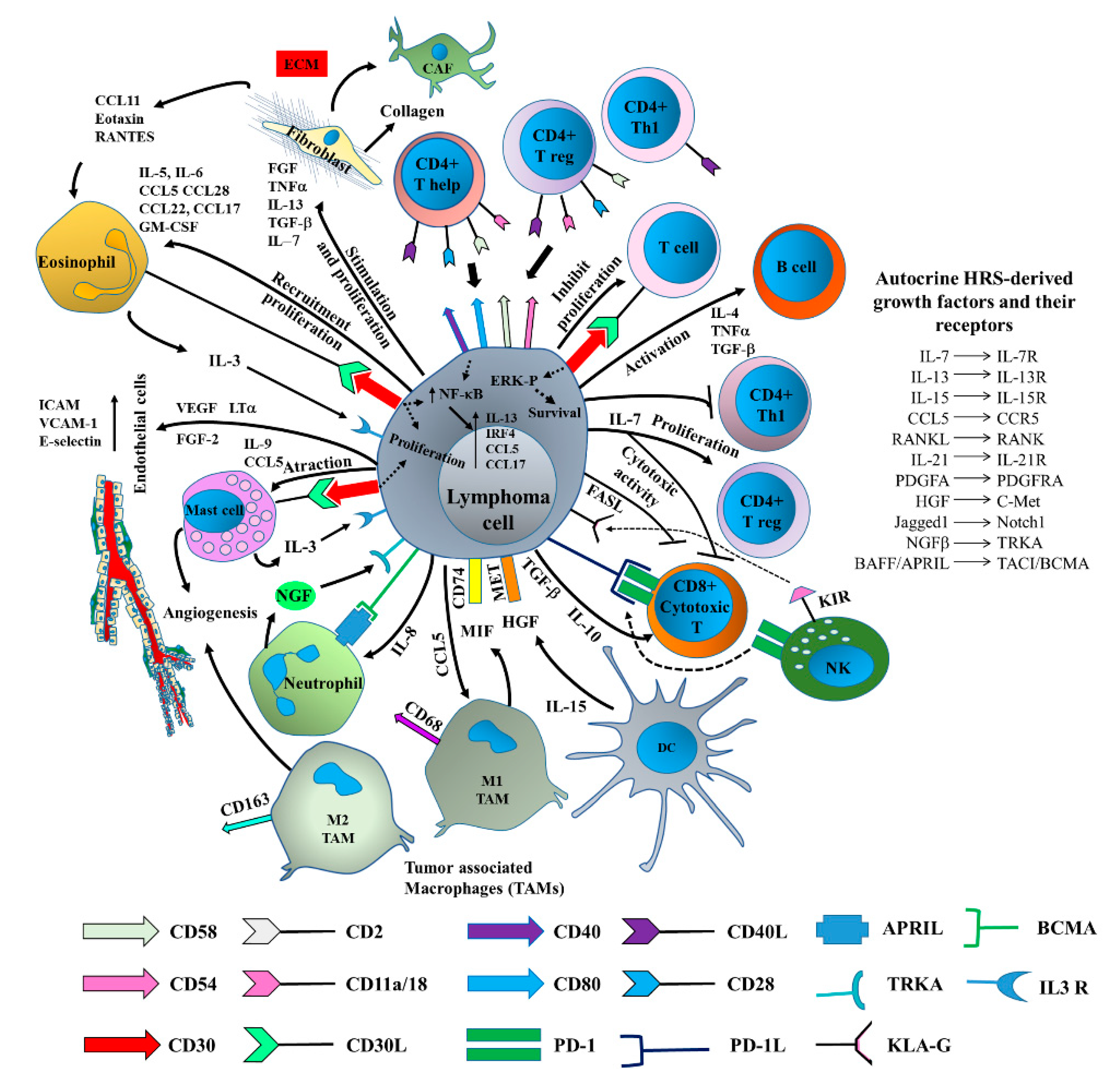 Ijms 20 00041 g003 550