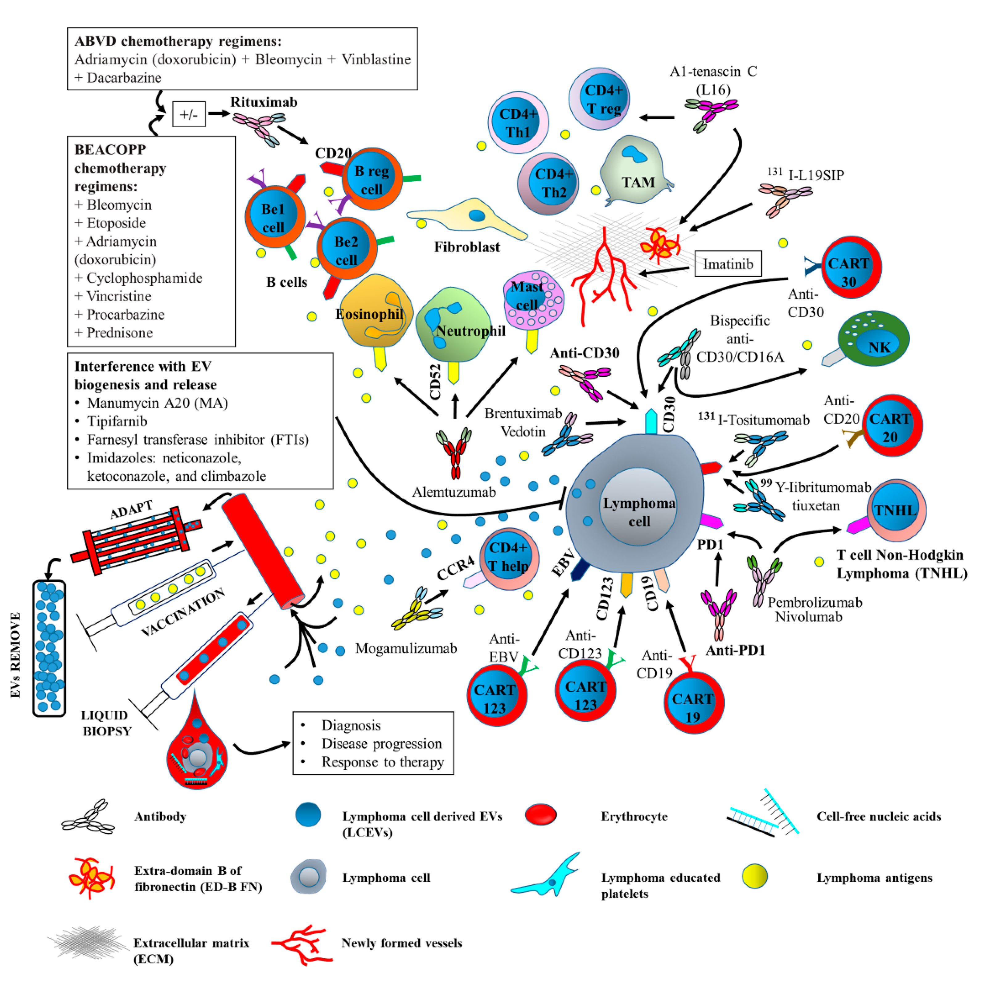 Ijms 20 00041 g004 550
