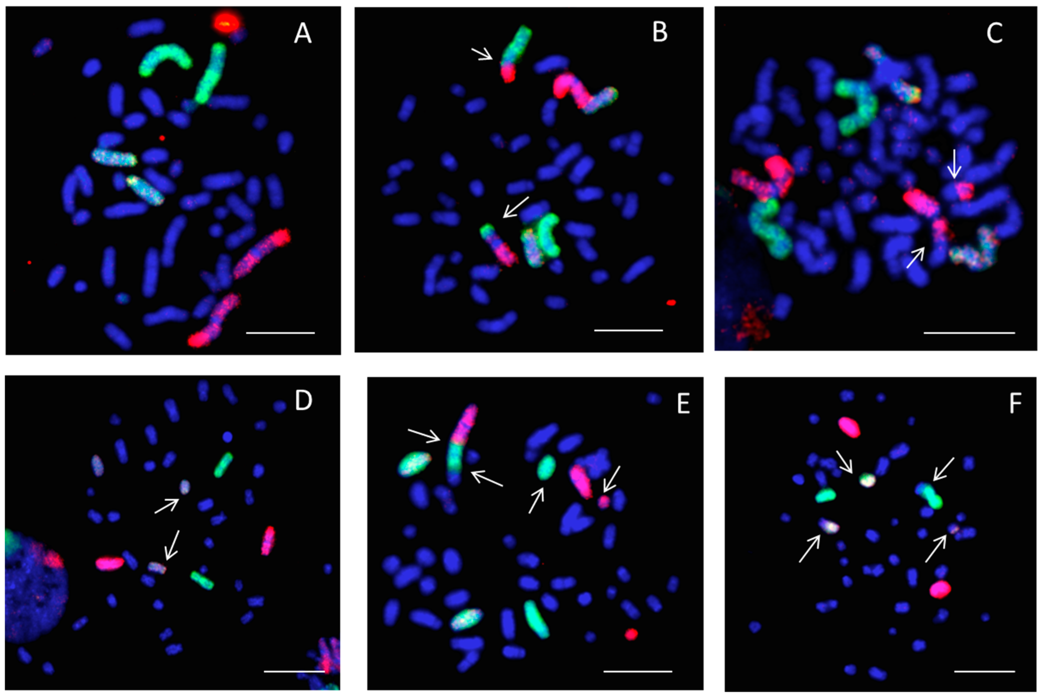 Ijms 20 00043 g002 Ijms 20 00043 g002