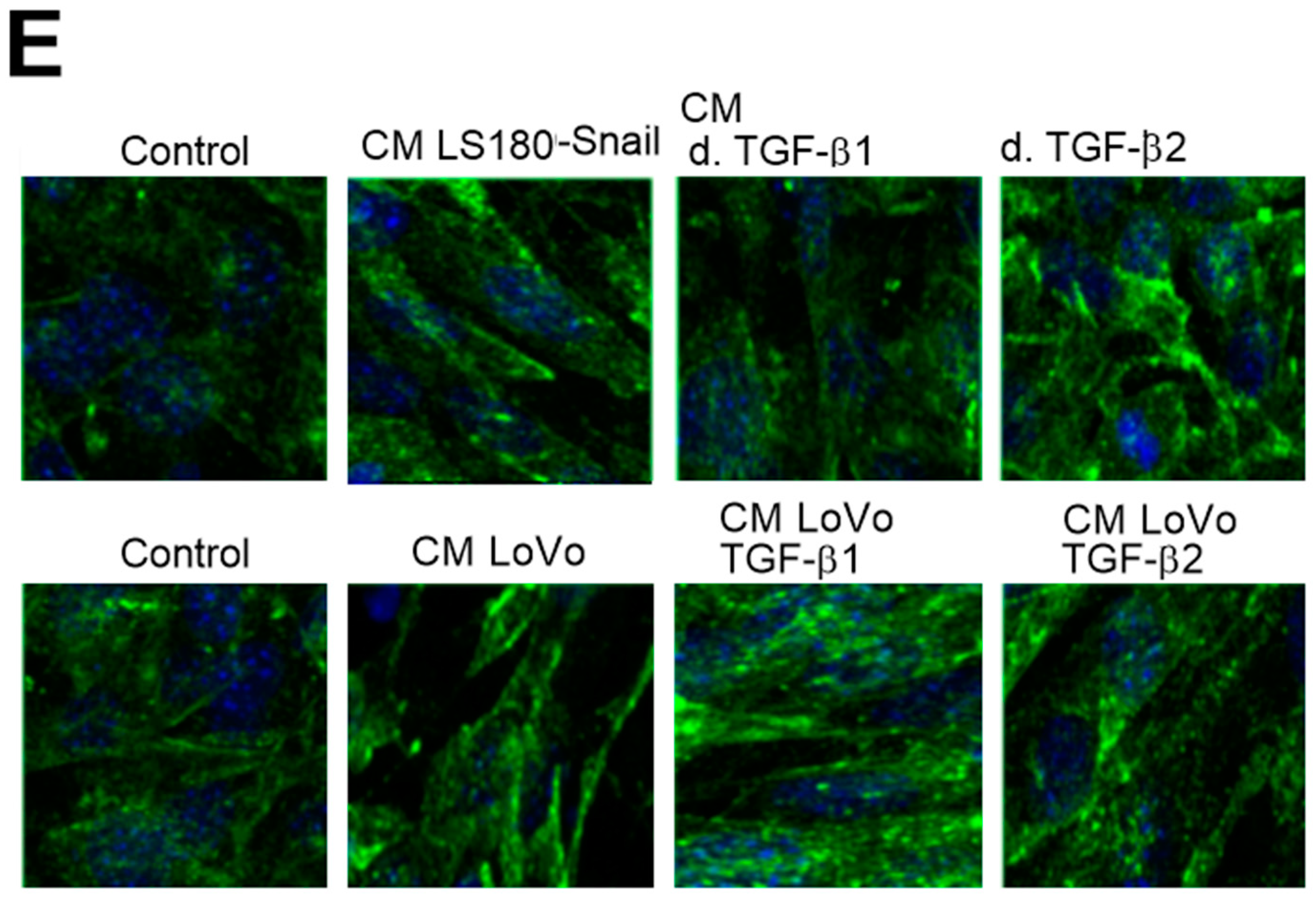 Ijms 20 00053 g005b Ijms 20 00053 g005b