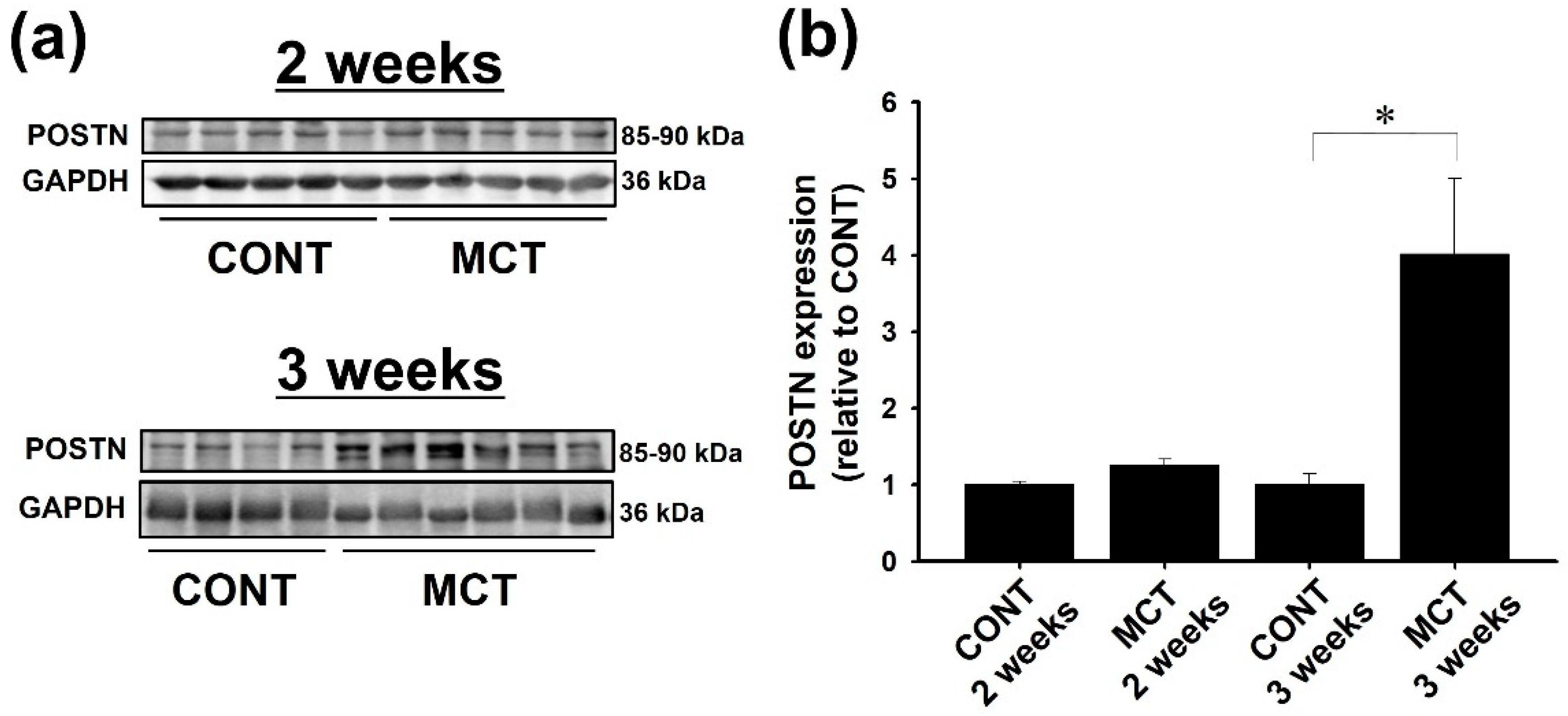 Ijms 20 00062 g001a Ijms 20 00062 g001a