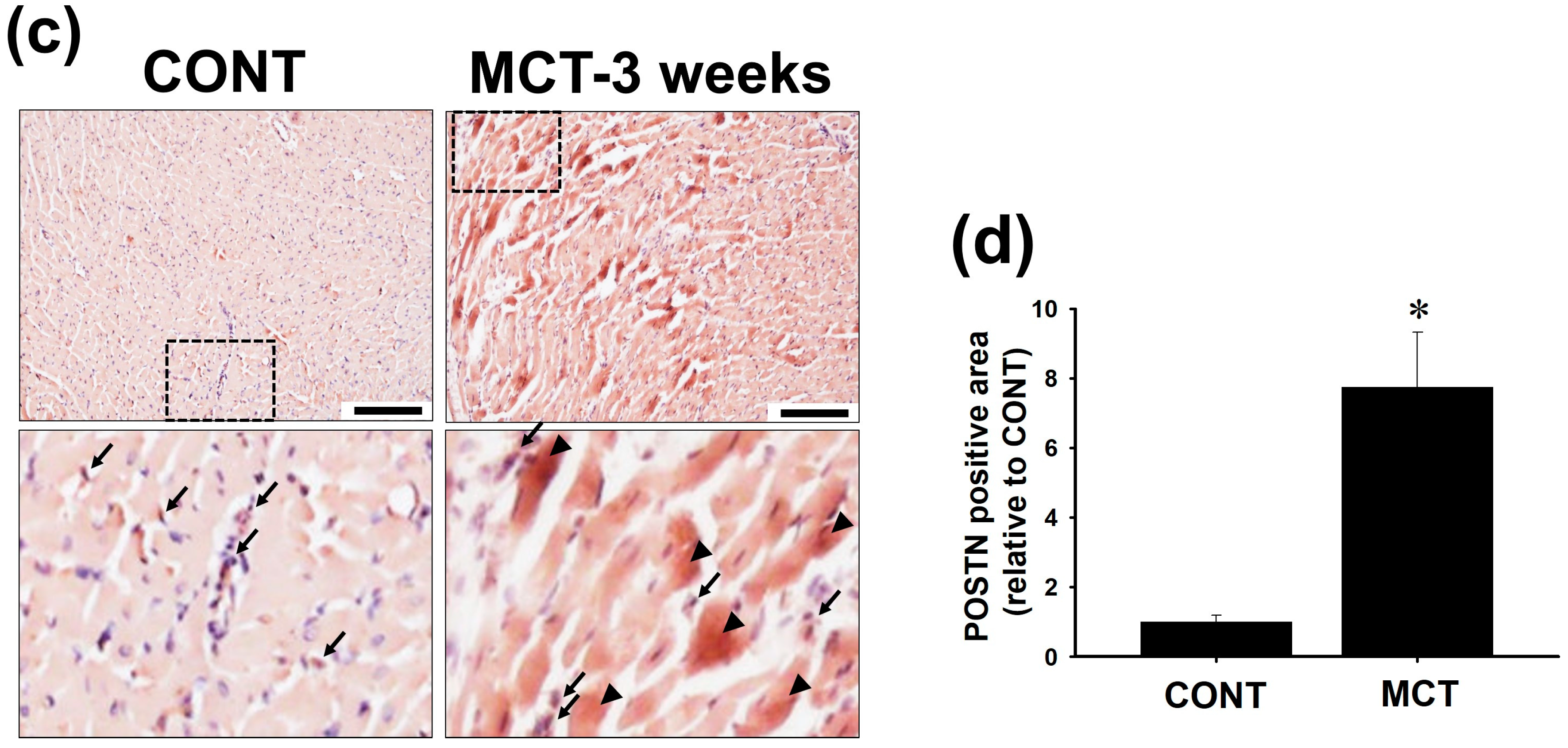 Ijms 20 00062 g001b Ijms 20 00062 g001b