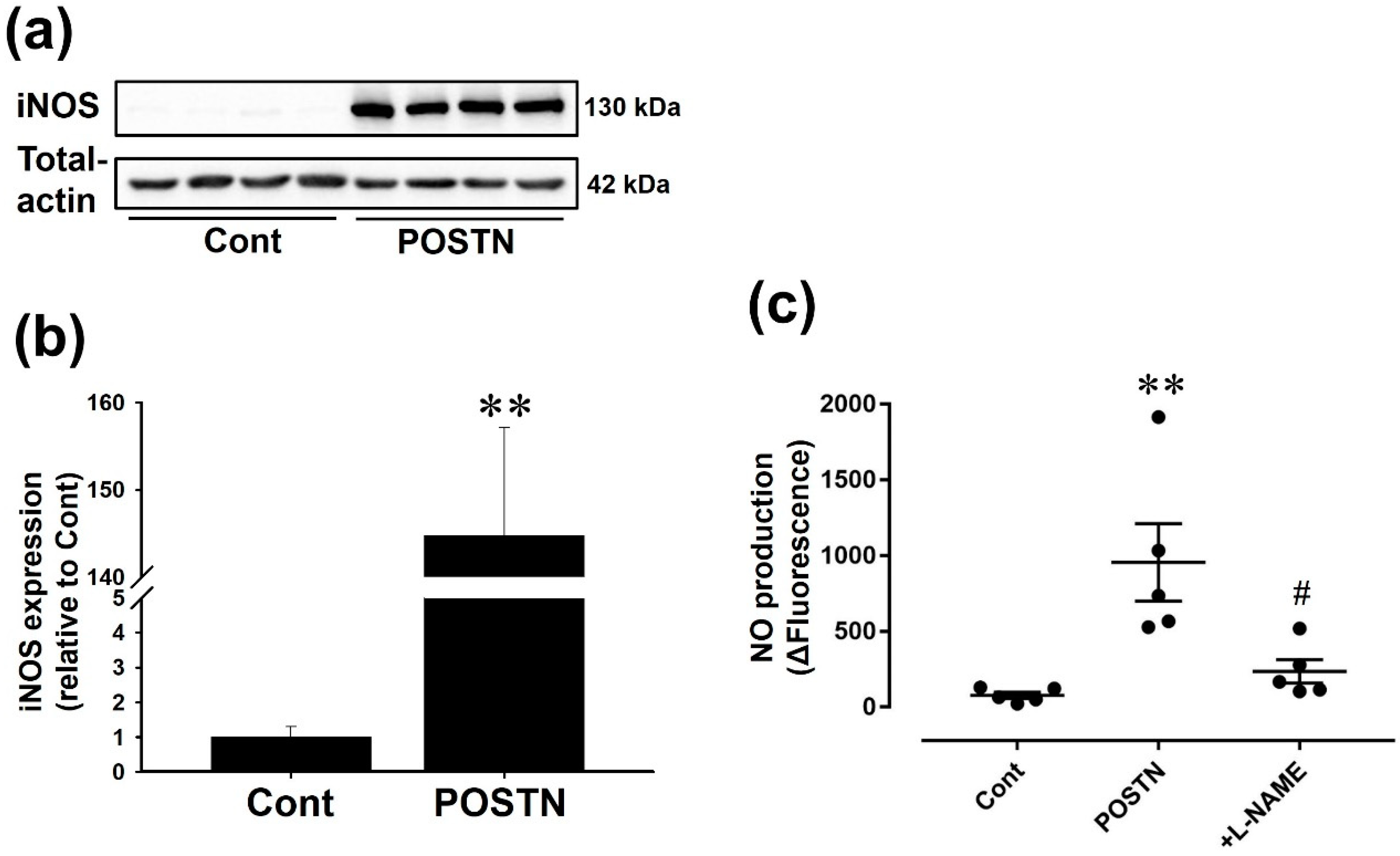Ijms 20 00062 g004 Ijms 20 00062 g004