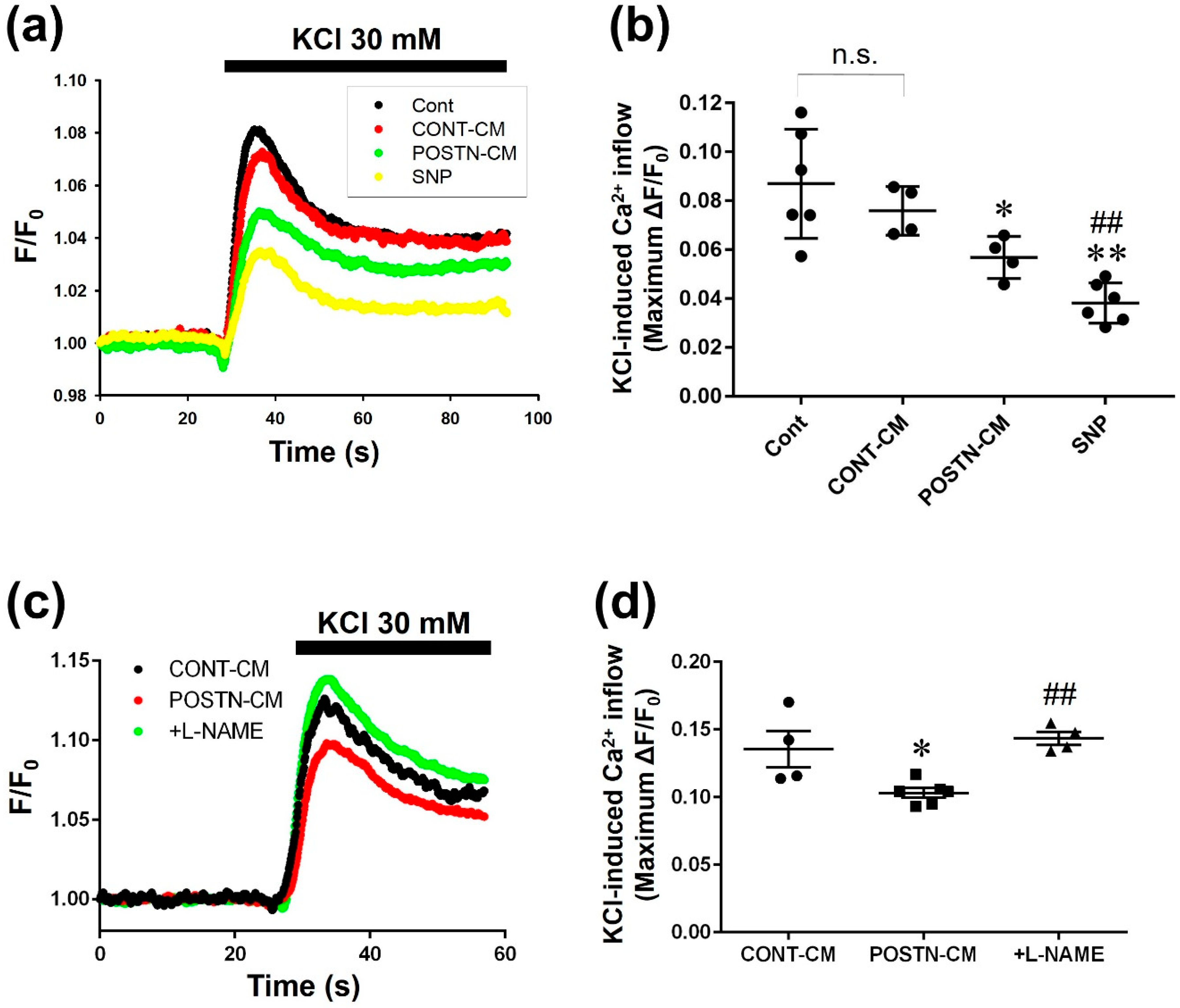 Ijms 20 00062 g006 Ijms 20 00062 g006