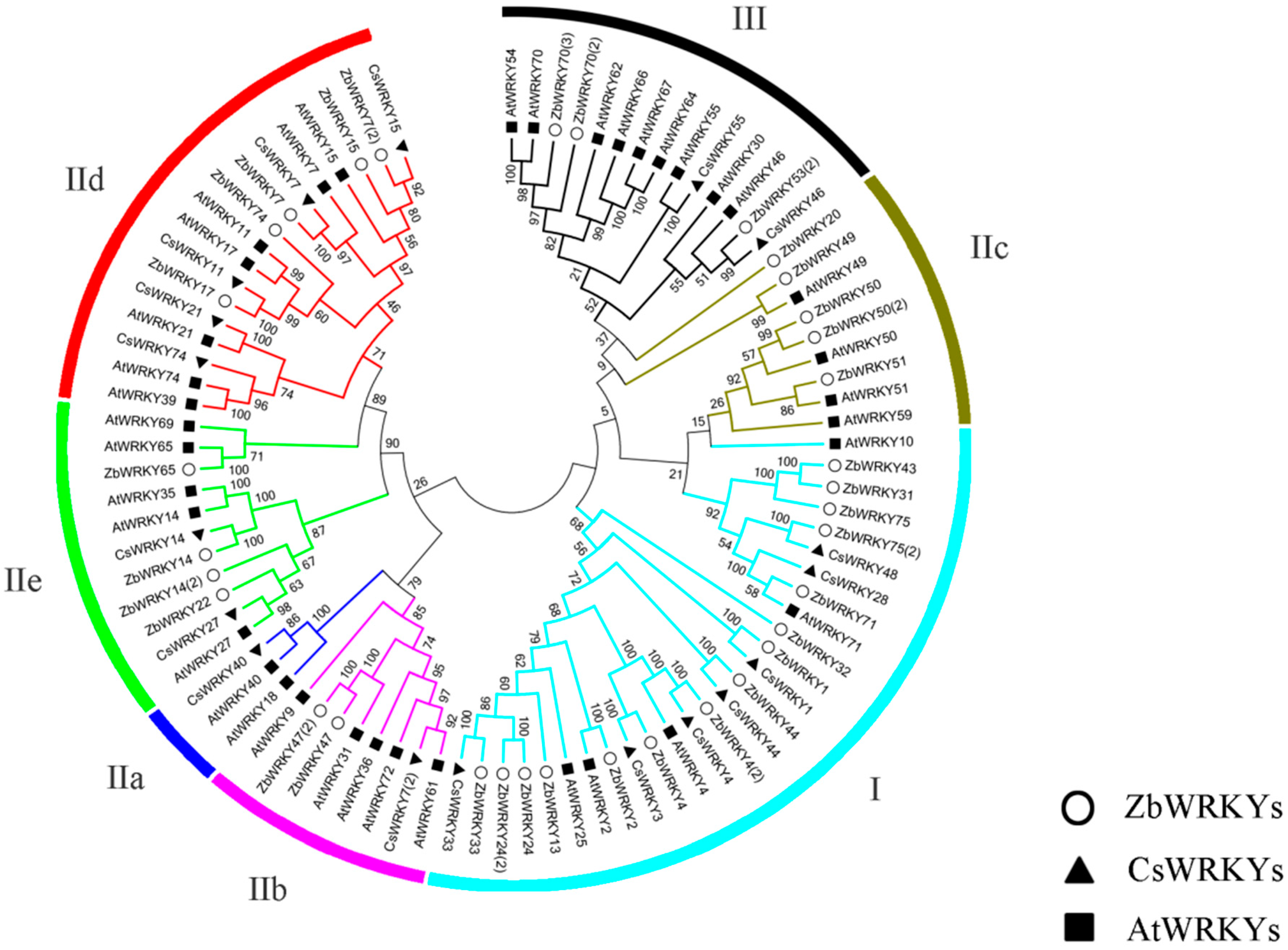 Ijms 20 00068 g001 Ijms 20 00068 g001