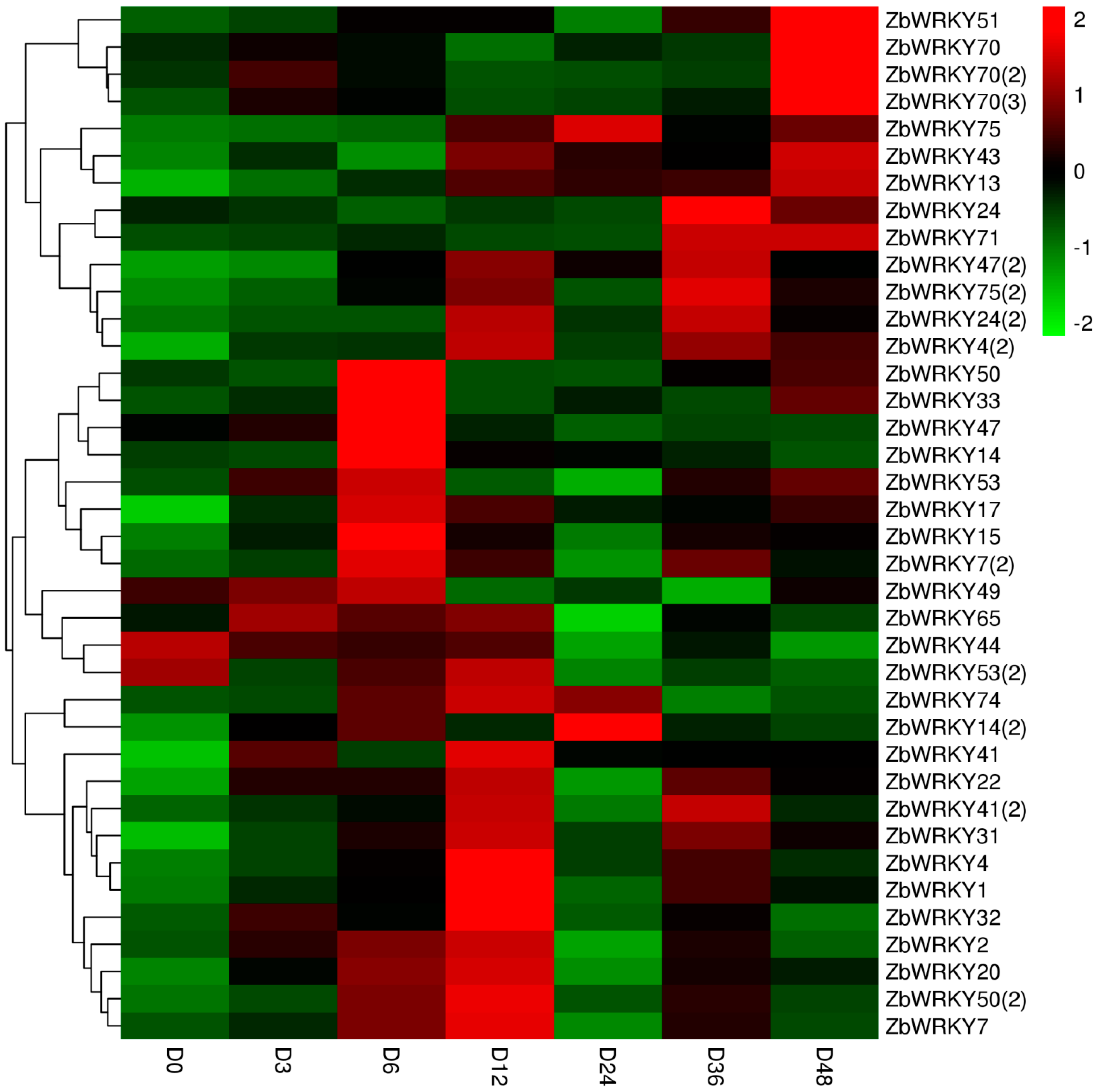 Ijms 20 00068 g003 Ijms 20 00068 g003