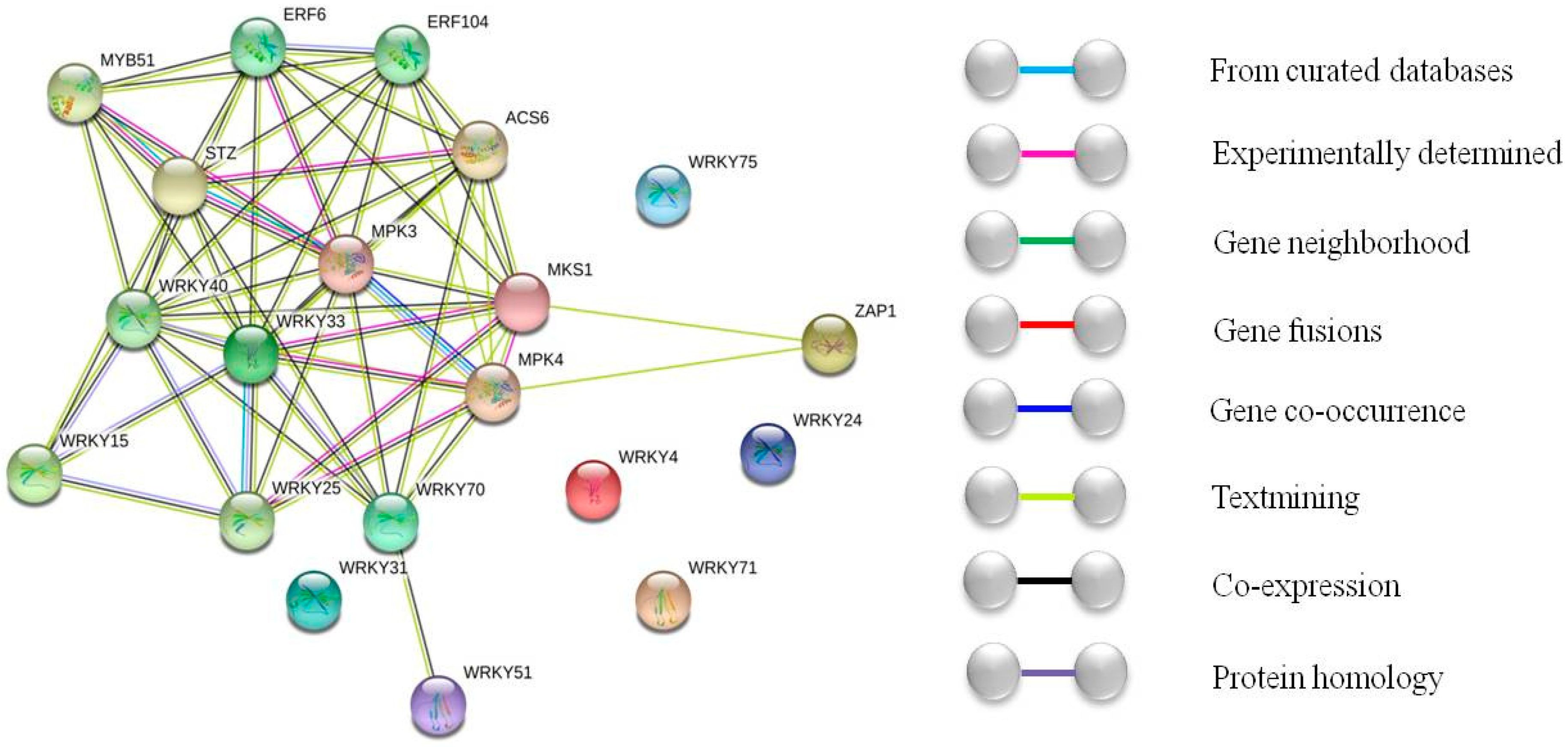 Ijms 20 00068 g004 Ijms 20 00068 g004