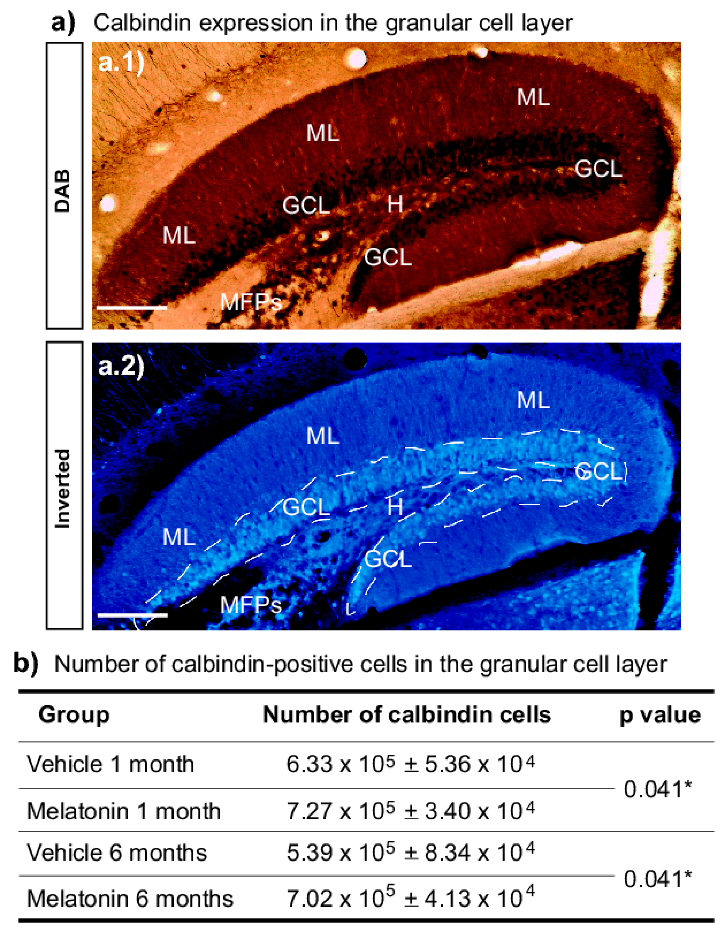 Ijms 20 00073 g003 Ijms 20 00073 g003