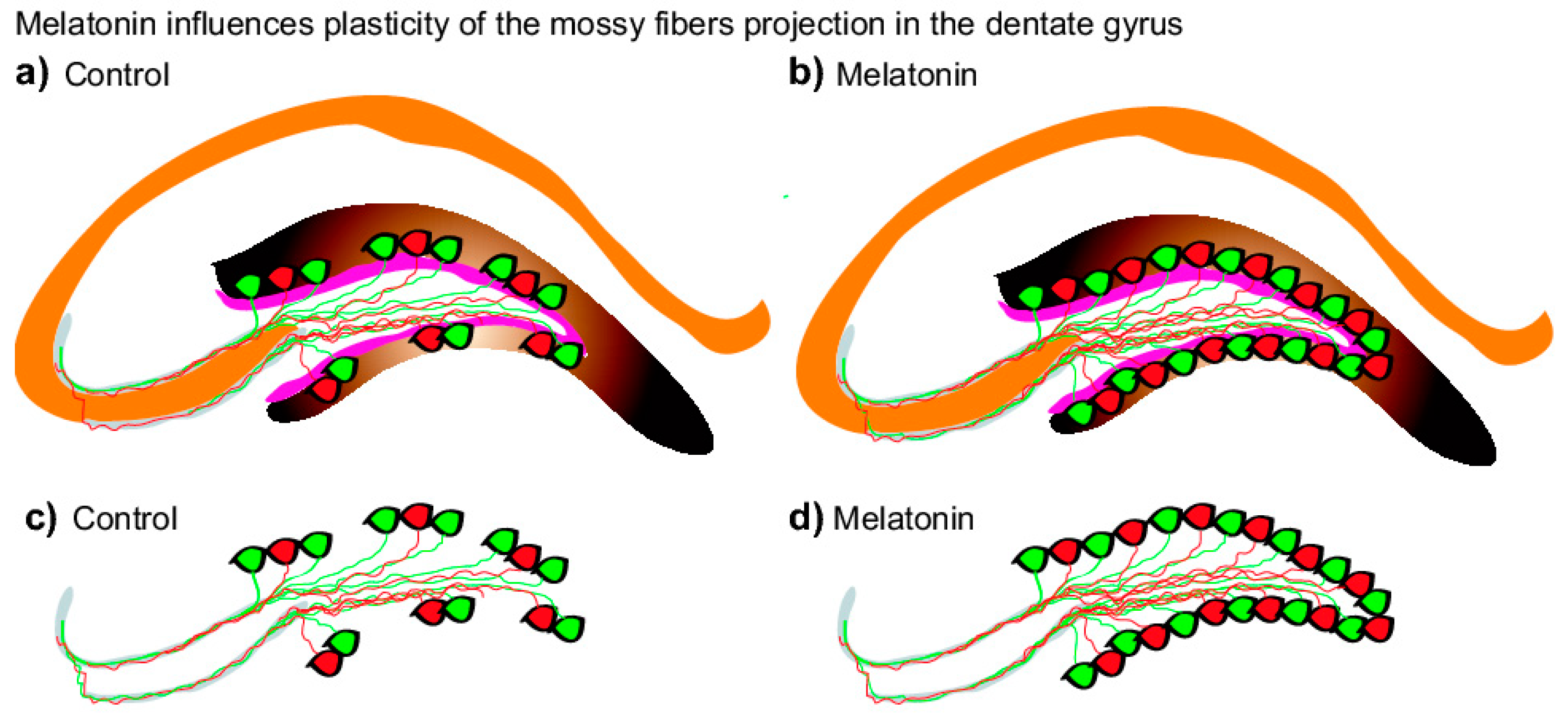 Ijms 20 00073 g006 Ijms 20 00073 g006