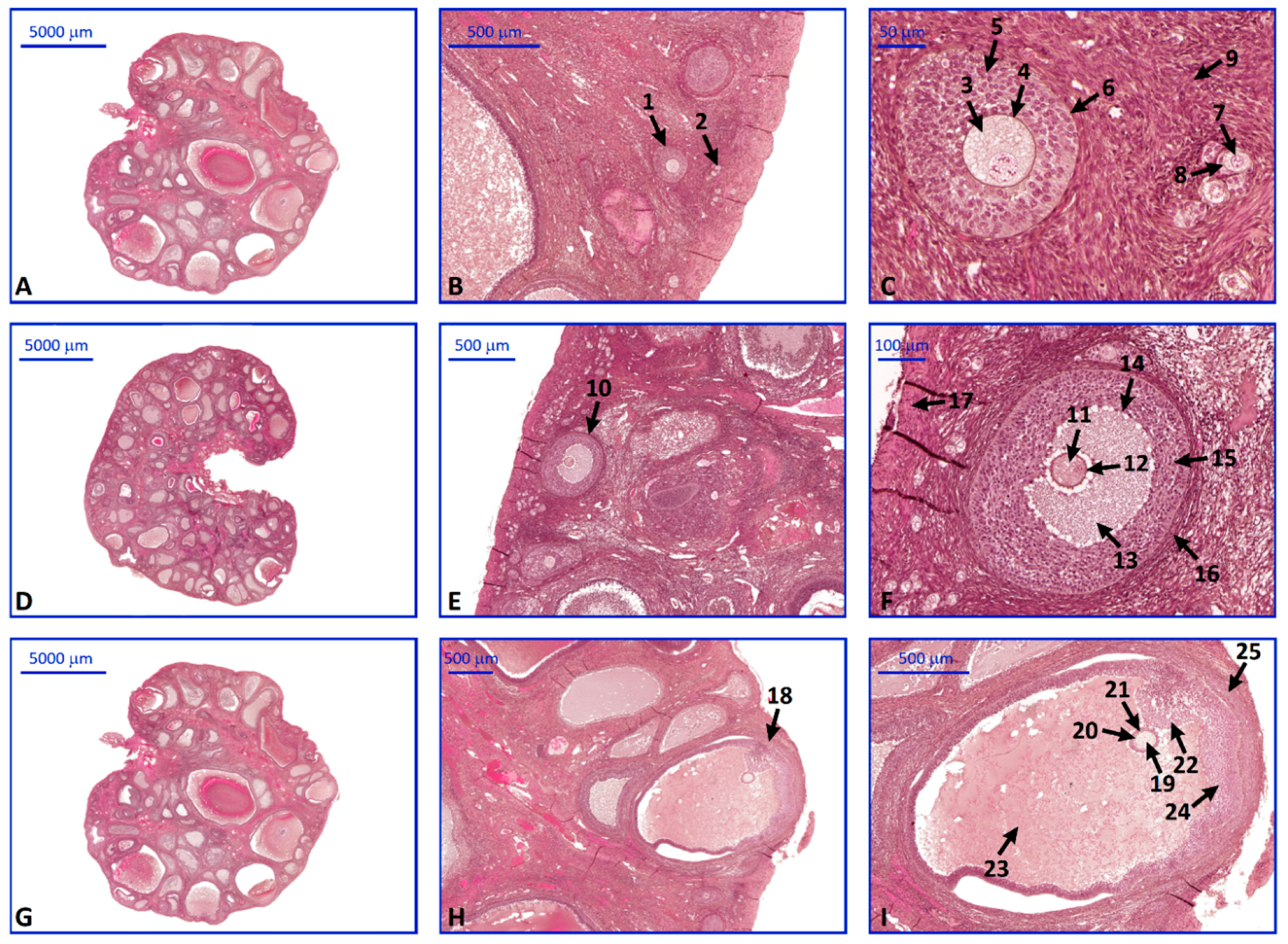 Ijms 20 00084 g007 Ijms 20 00084 g007