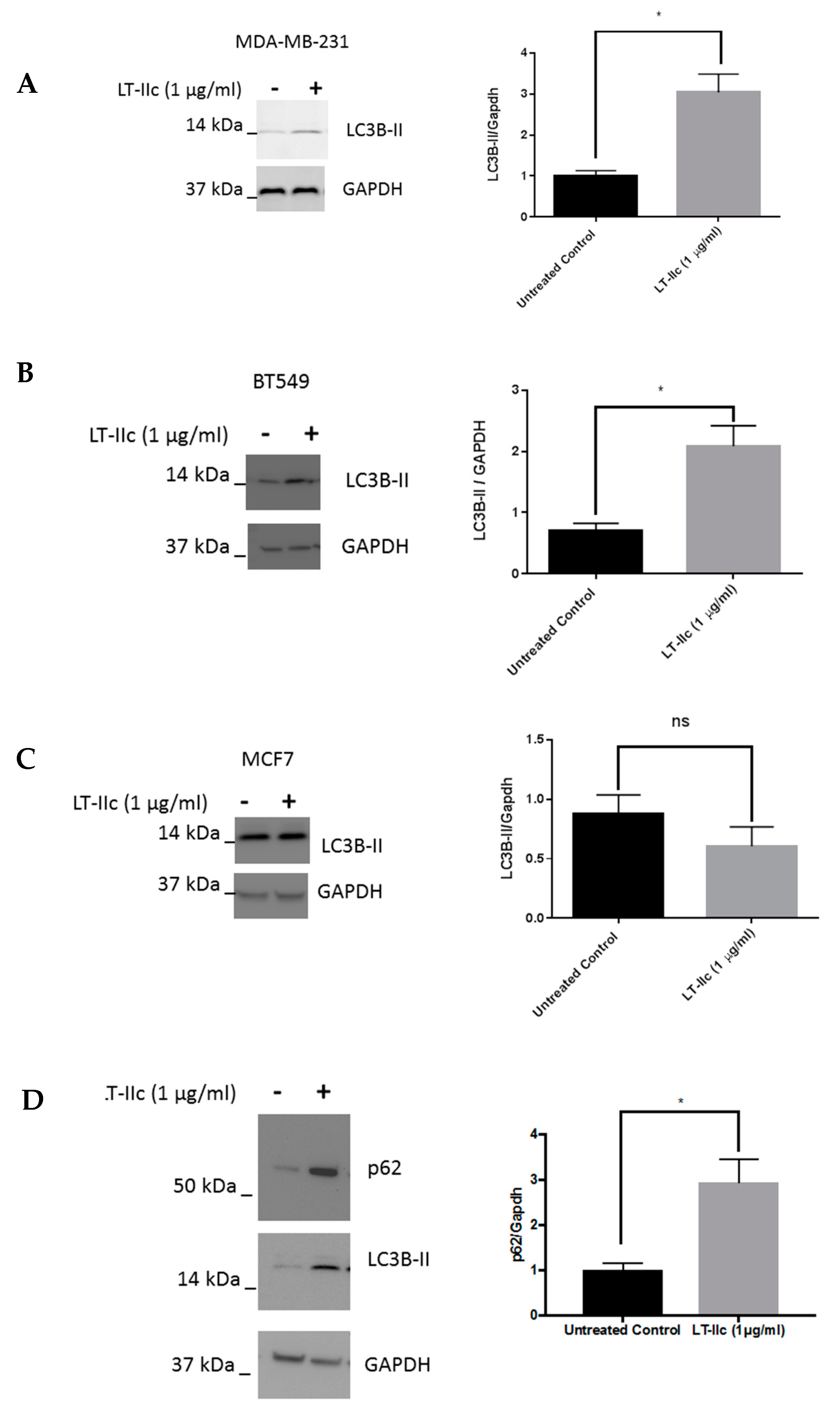 Ijms 20 00085 g005 Ijms 20 00085 g005