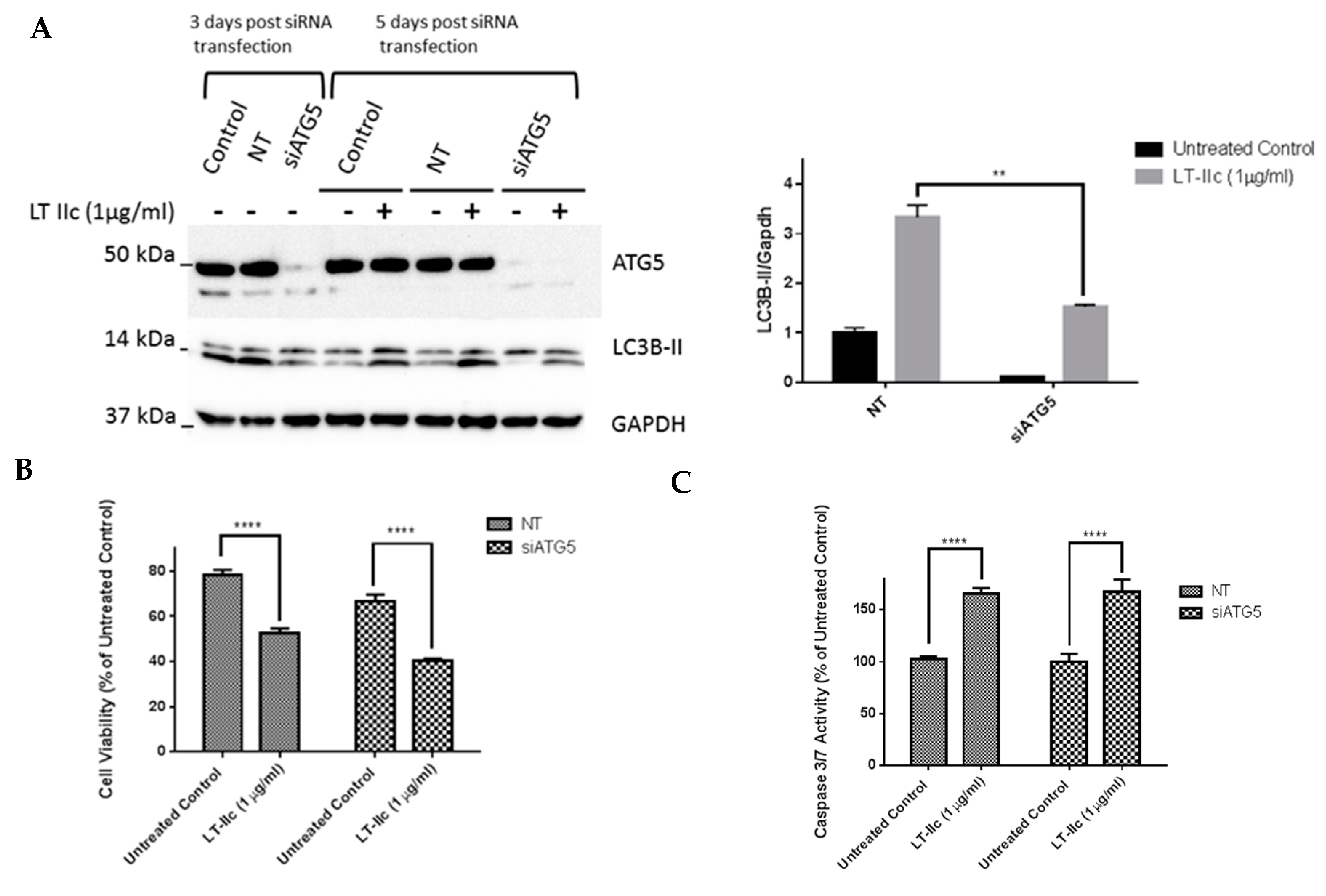 Ijms 20 00085 g010 Ijms 20 00085 g010