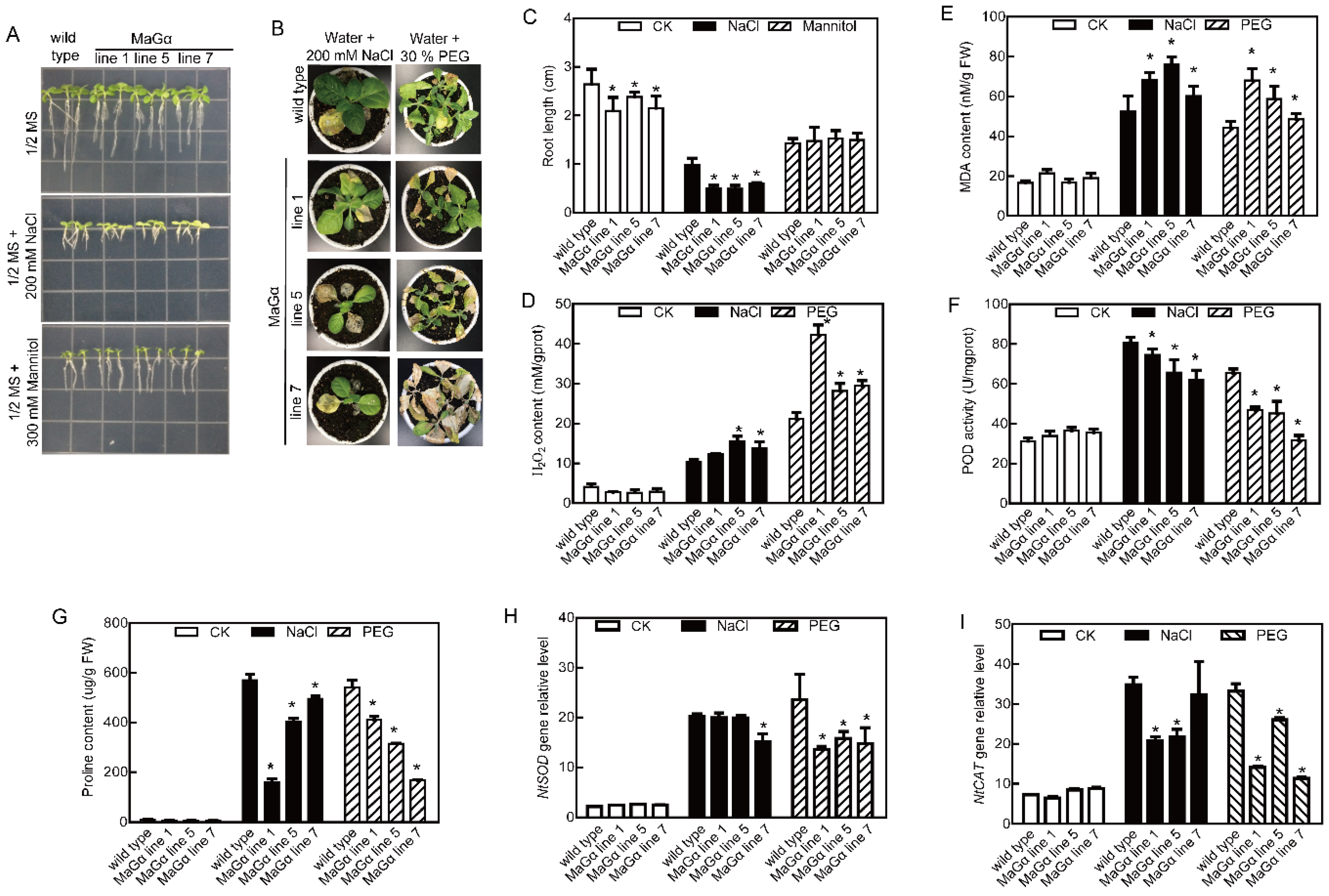 Ijms 20 00089 g002 Ijms 20 00089 g002