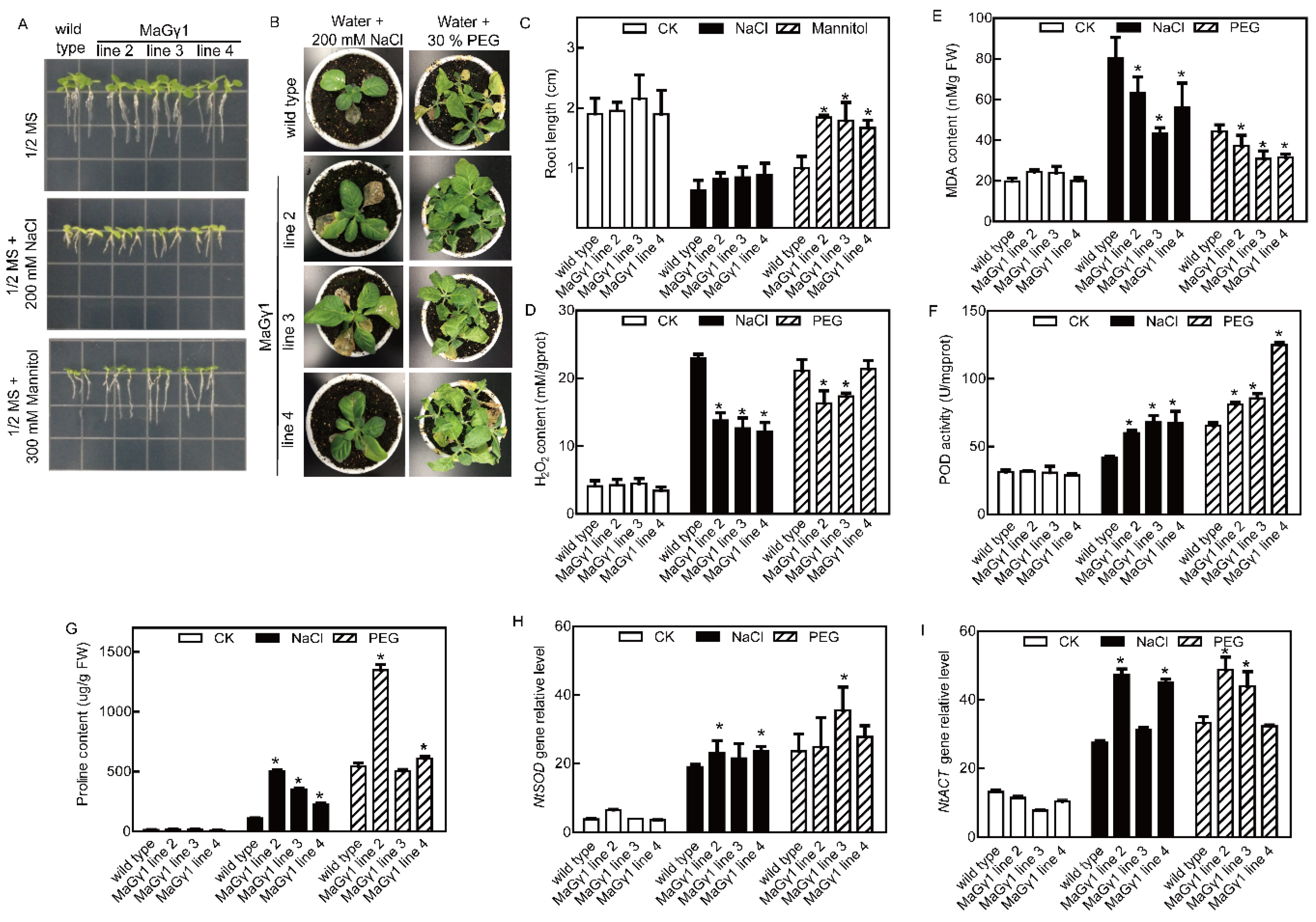 Ijms 20 00089 g004 Ijms 20 00089 g004