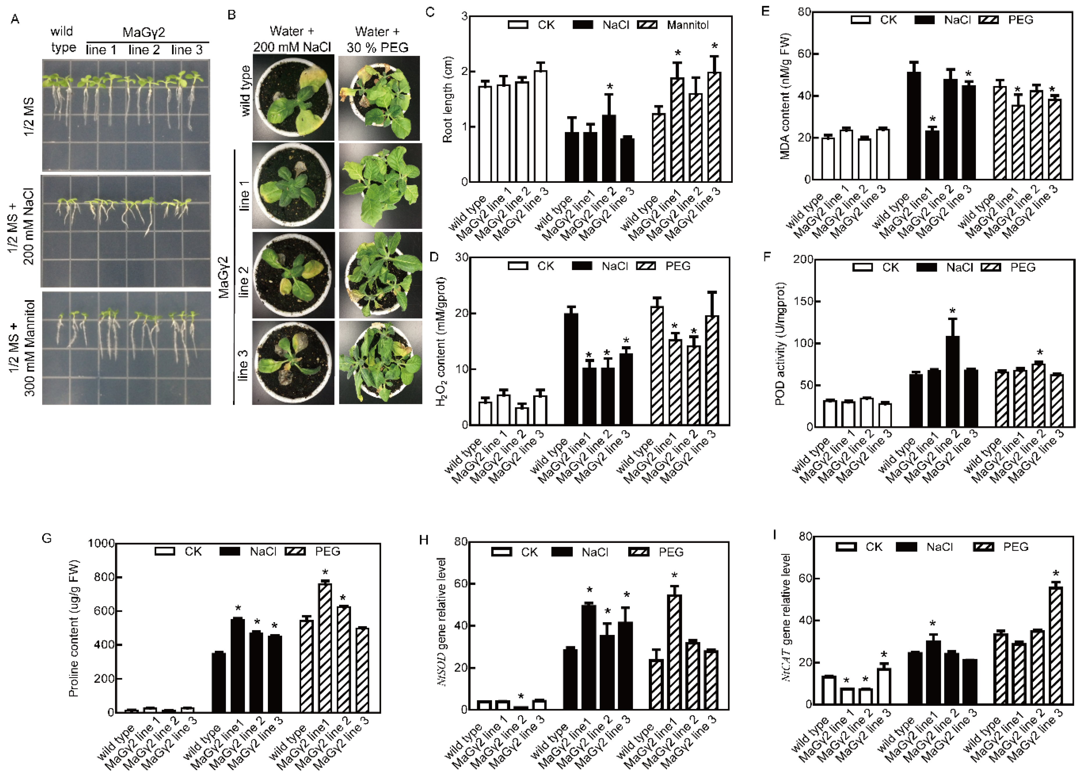 Ijms 20 00089 g005 Ijms 20 00089 g005
