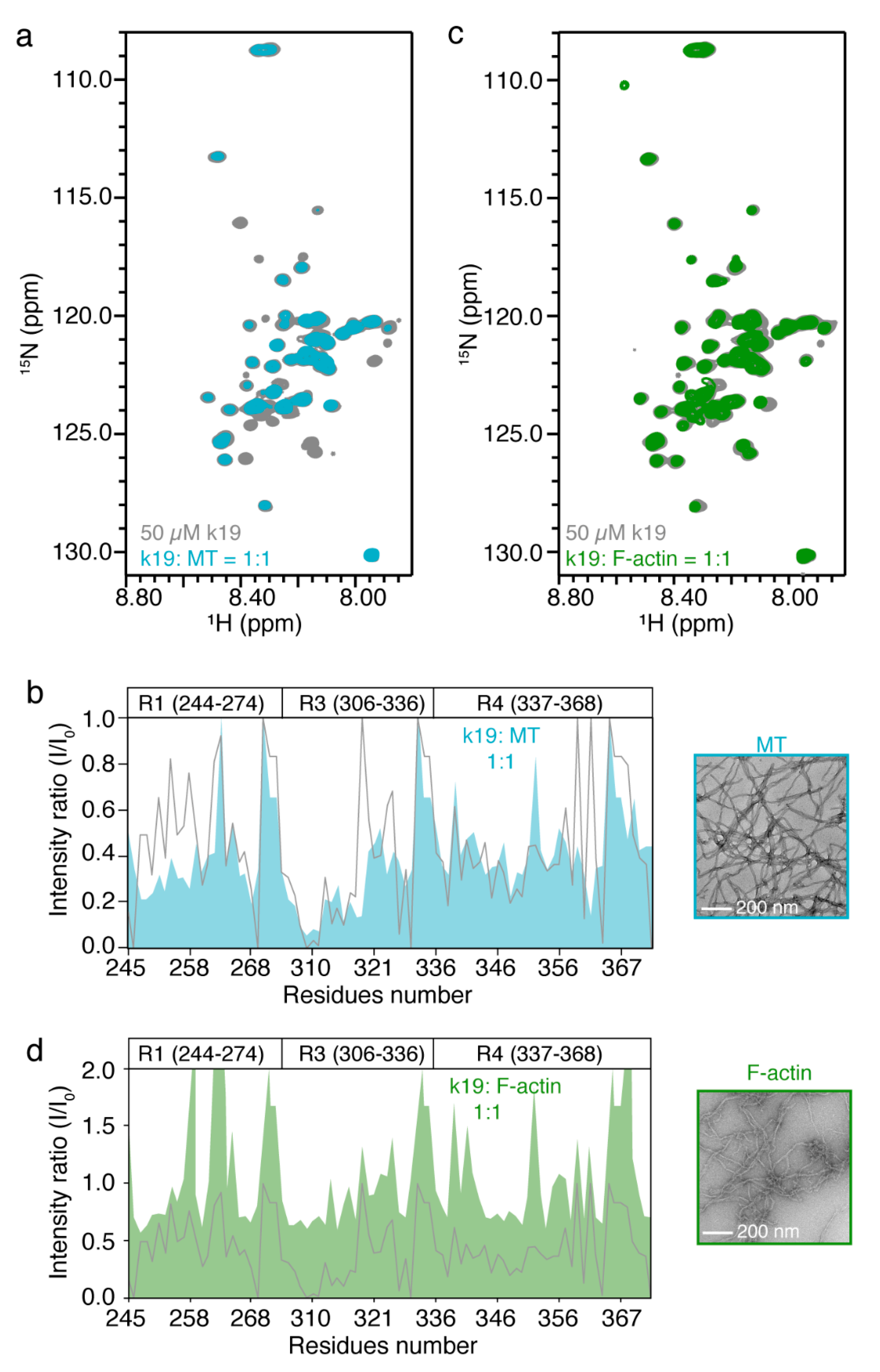 Ijms 20 00090 g003 Ijms 20 00090 g003