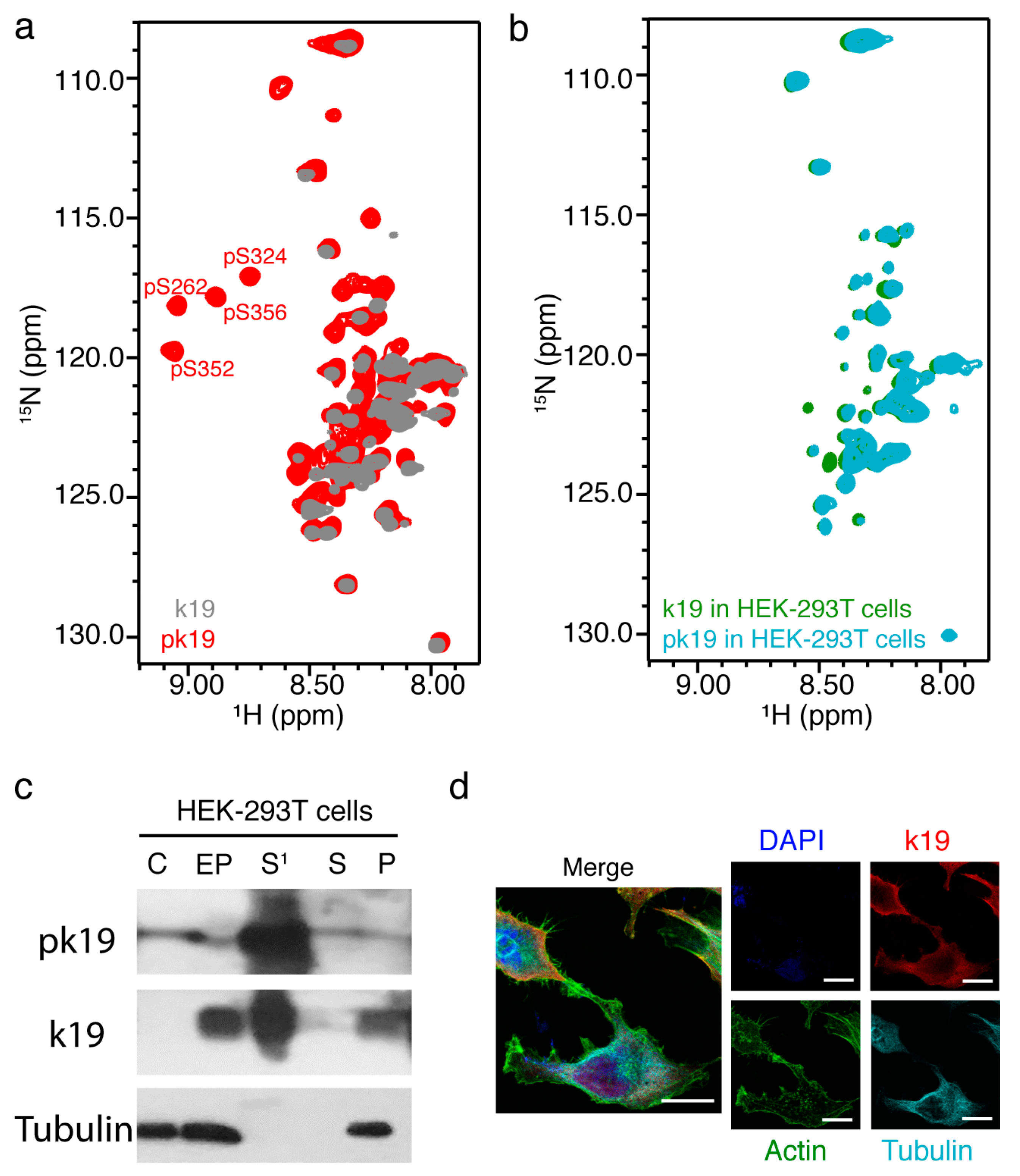 Ijms 20 00090 g004 Ijms 20 00090 g004