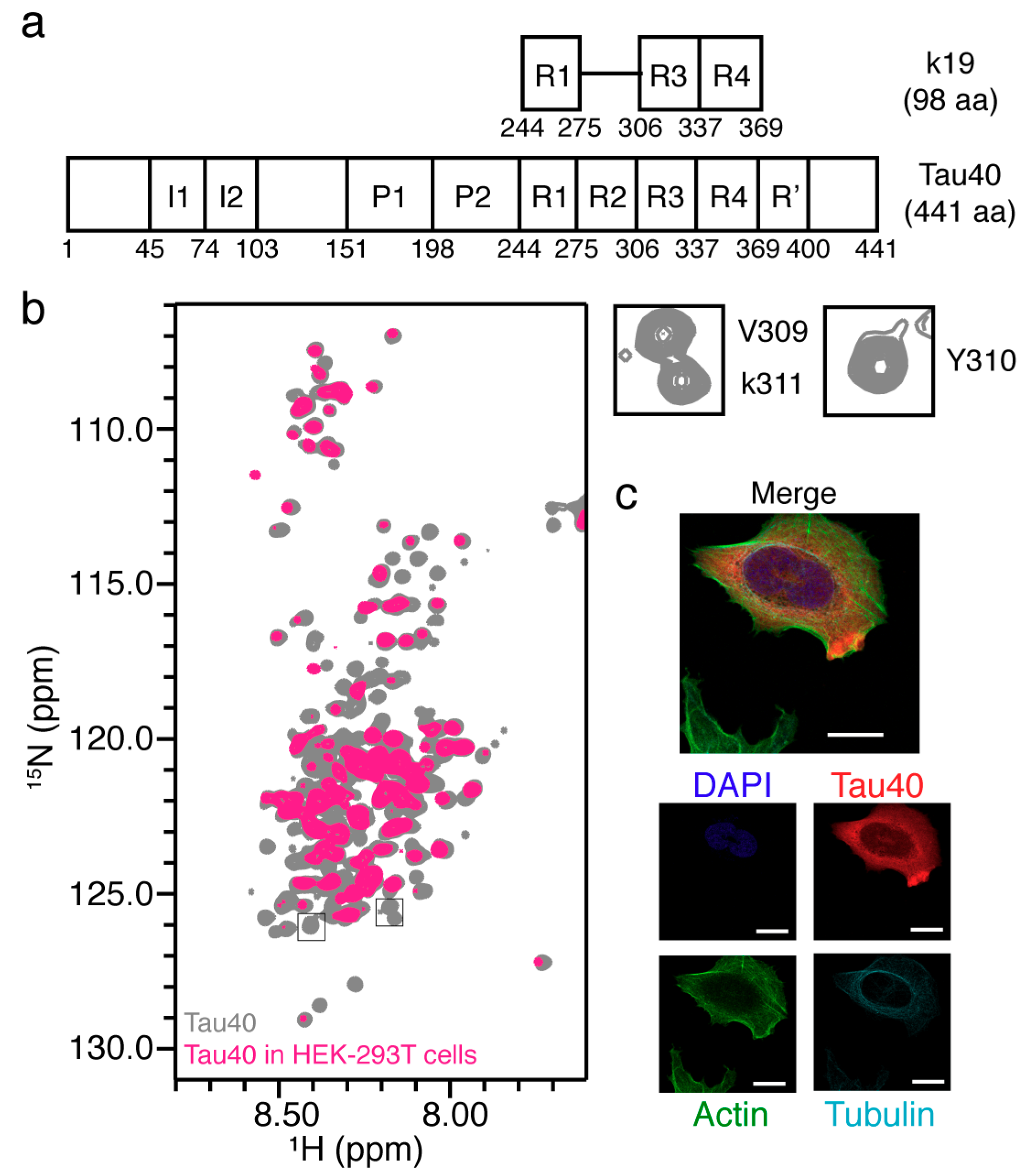 Ijms 20 00090 g005 Ijms 20 00090 g005