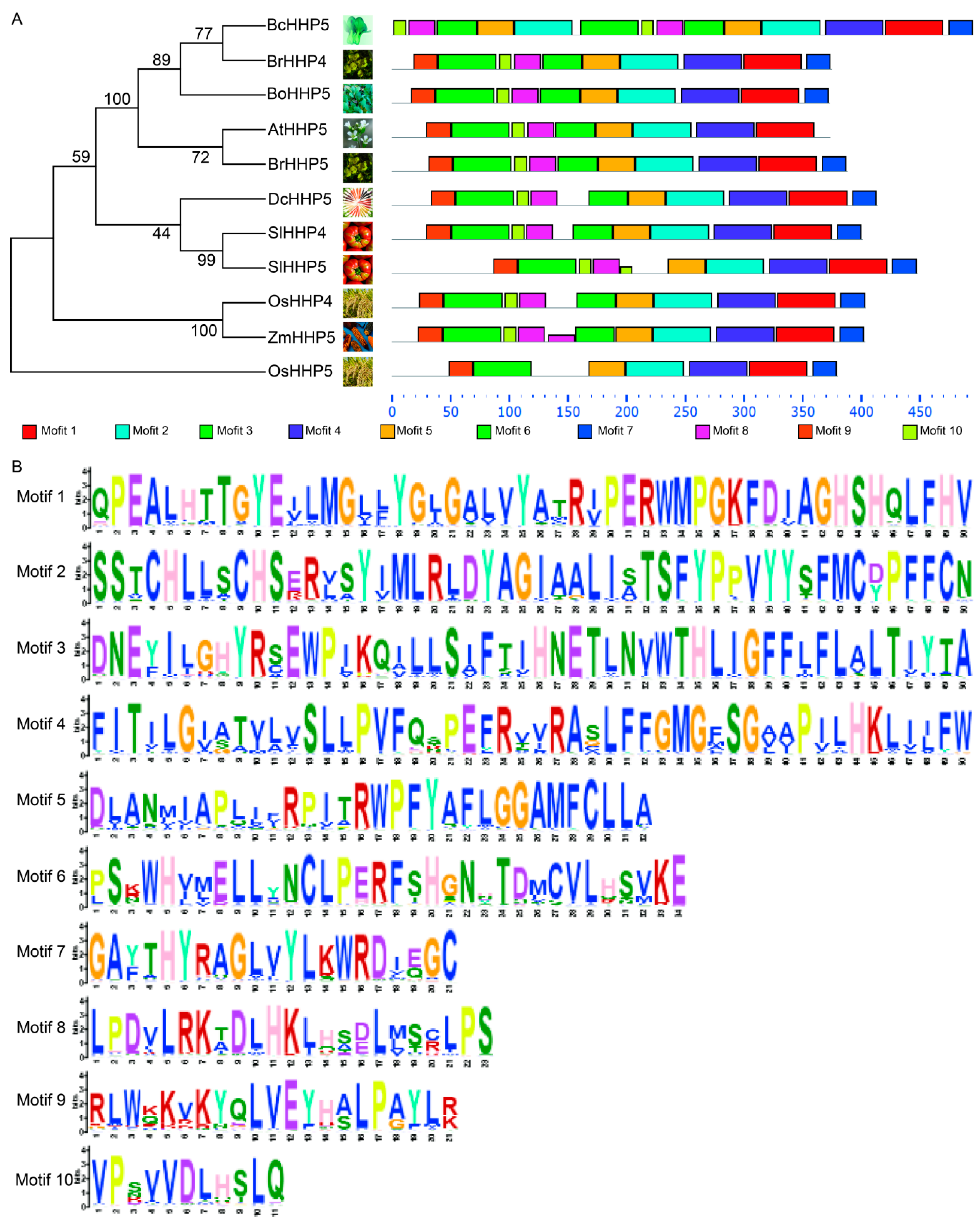 Ijms 20 00093 g002 Ijms 20 00093 g002