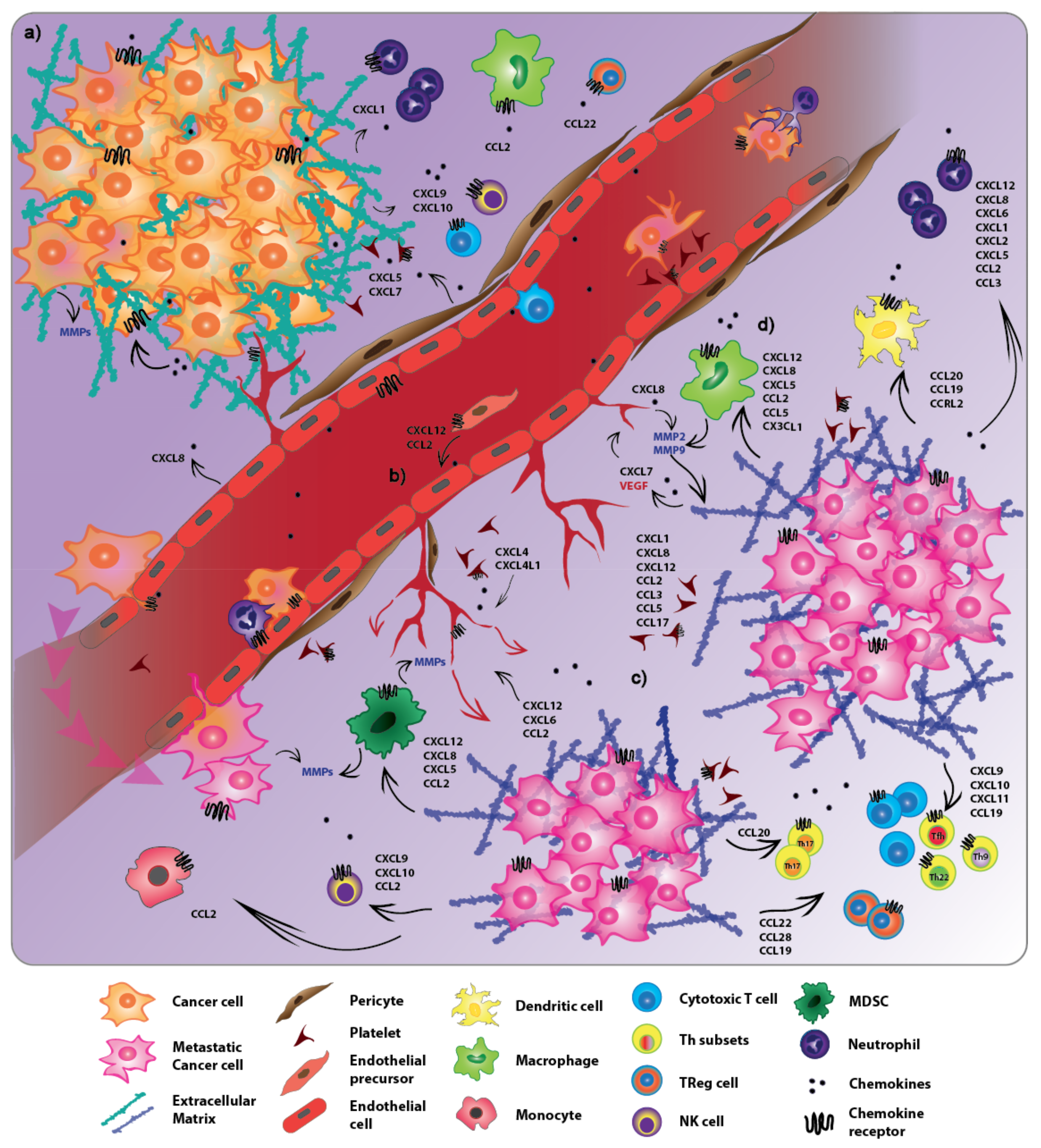 Ijms 20 00096 g001 Ijms 20 00096 g001
