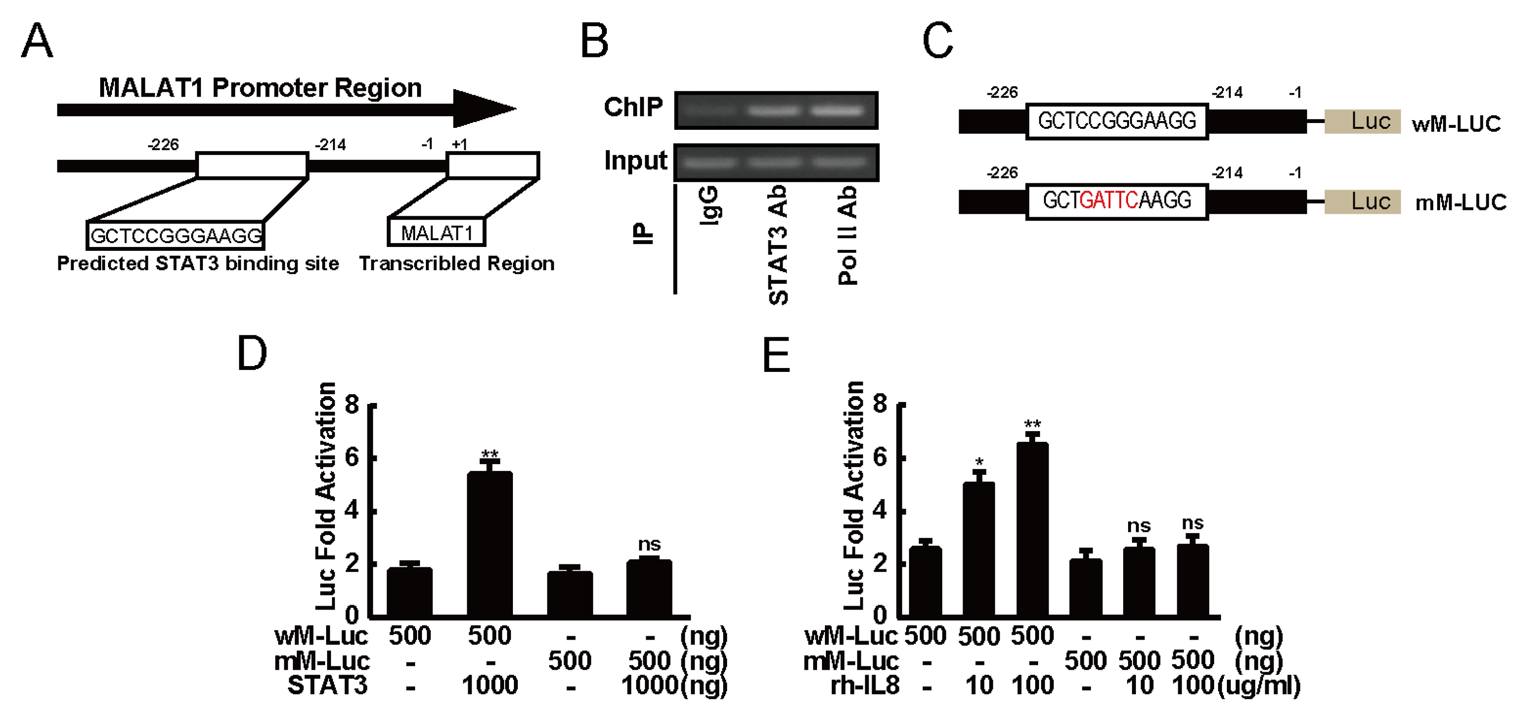 Ijms 20 00098 g005 Ijms 20 00098 g005
