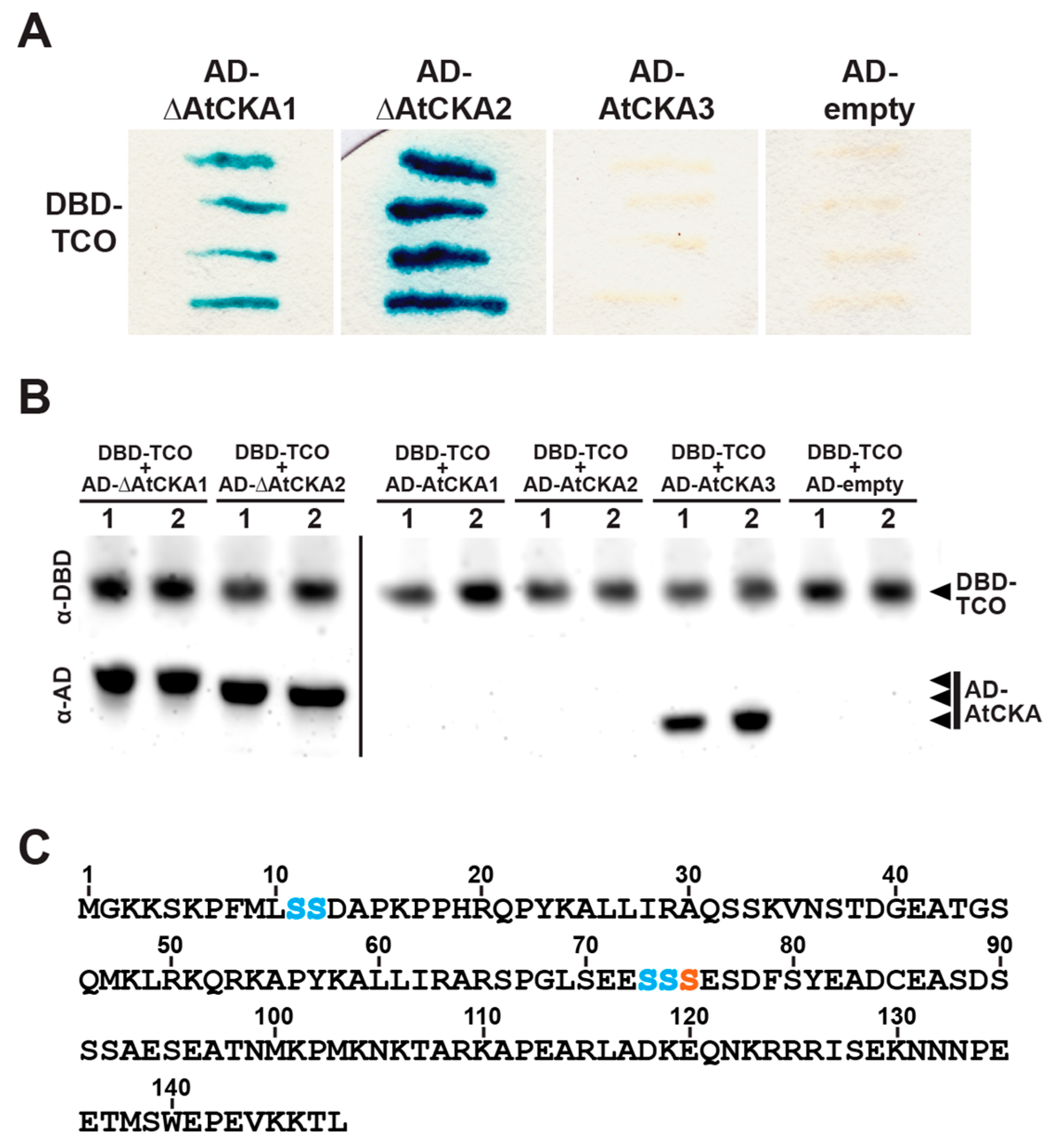 Ijms 20 00099 g006