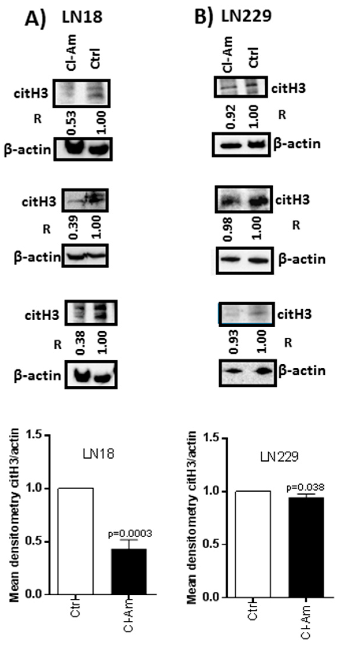 Ijms 20 00103 g005 Ijms 20 00103 g005
