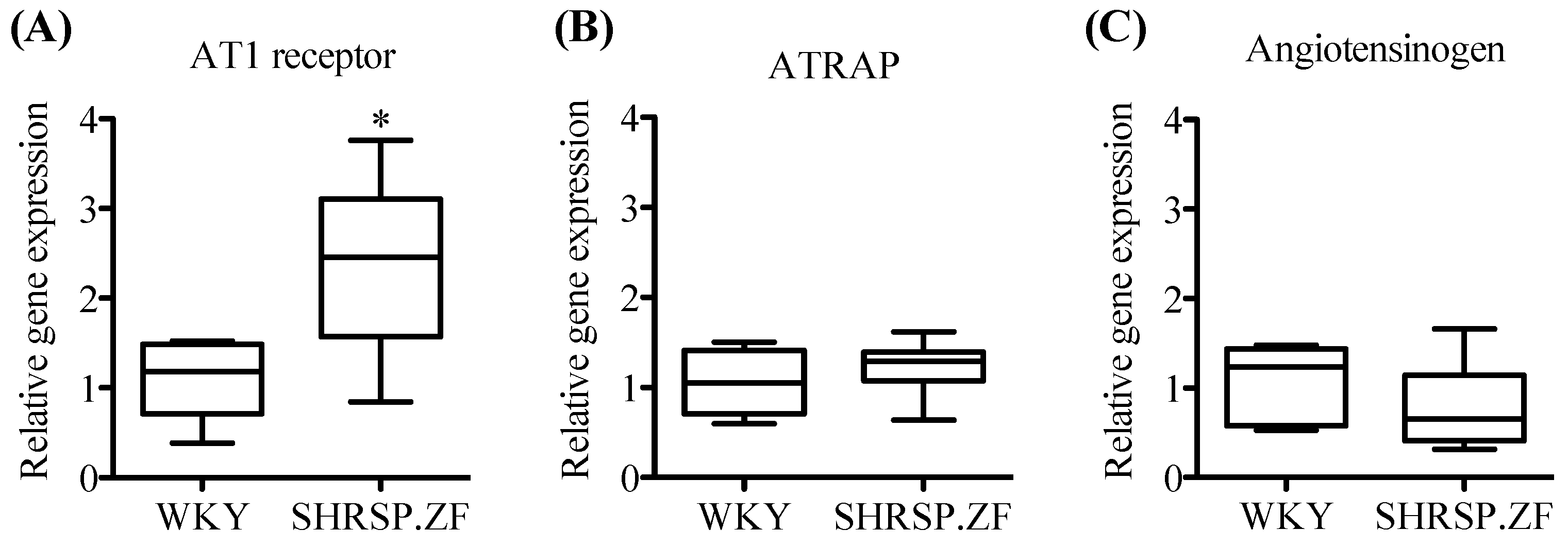 Ijms 20 00106 g004 Ijms 20 00106 g004