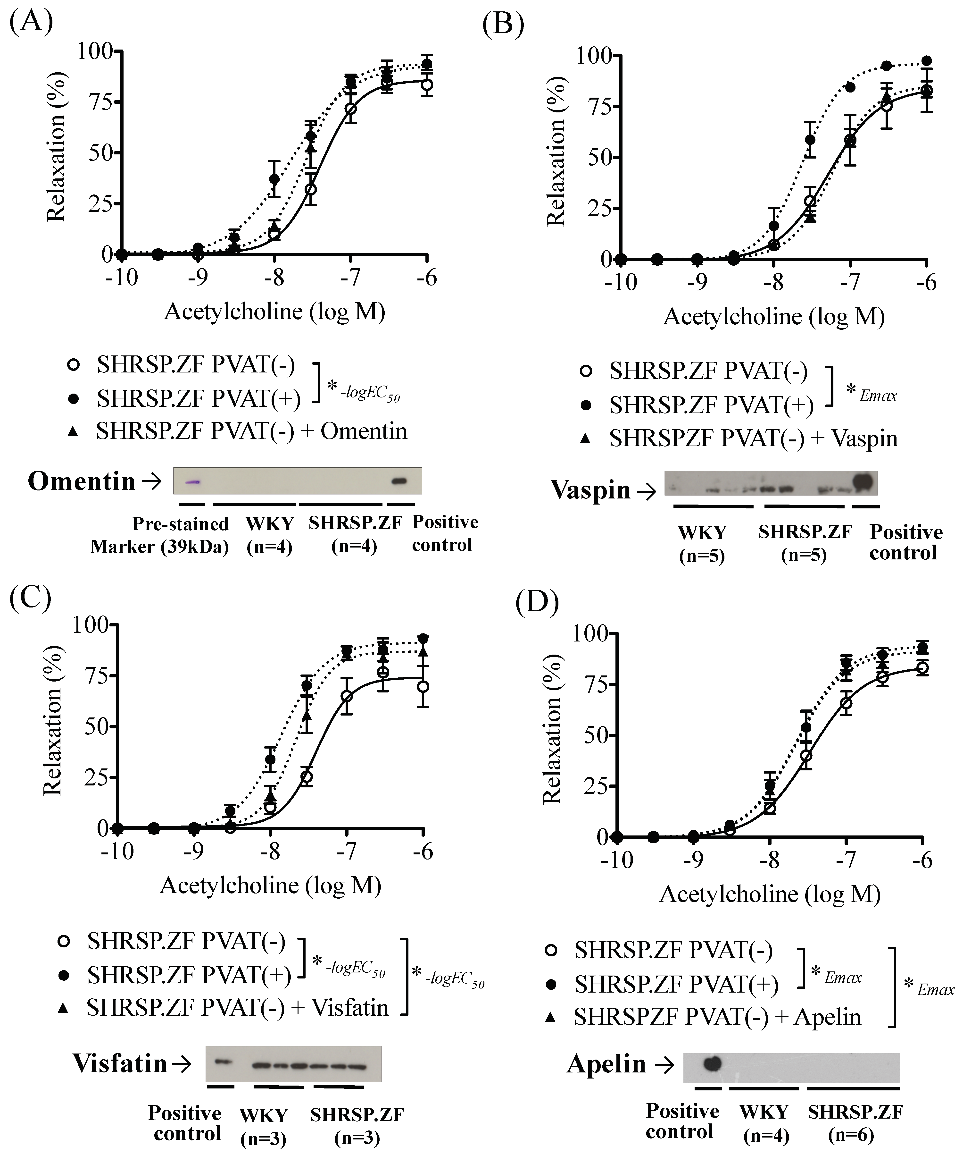 Ijms 20 00106 g005 Ijms 20 00106 g005