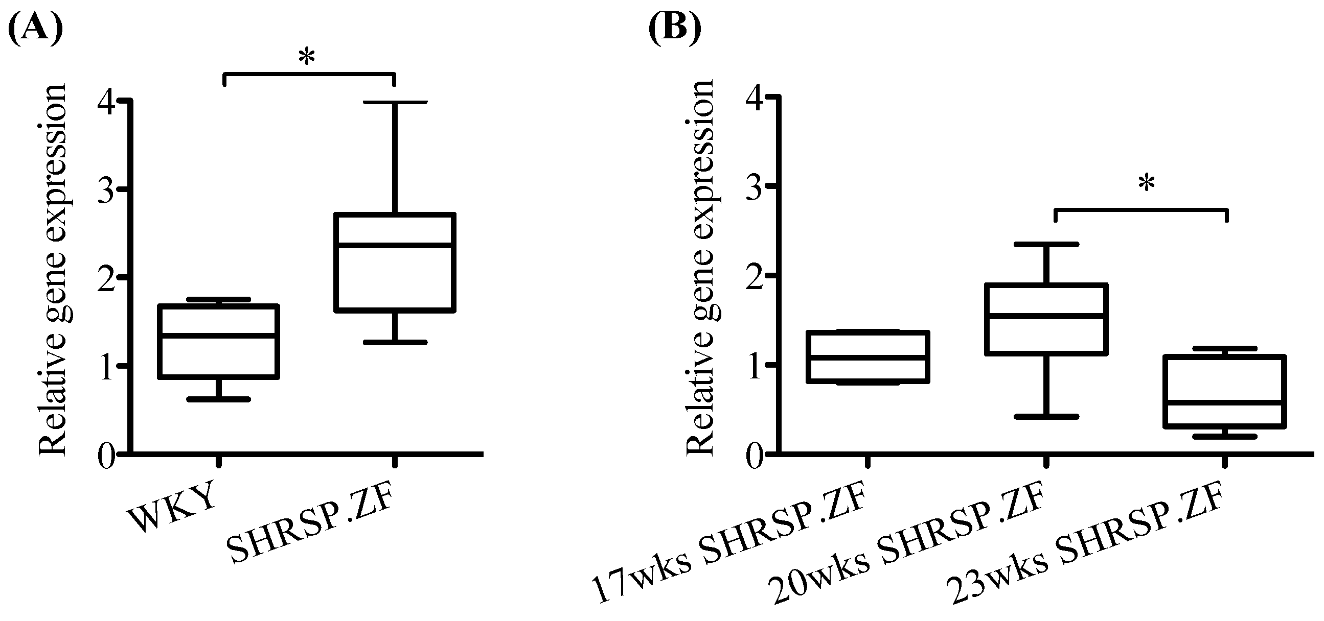 Ijms 20 00106 g007 Ijms 20 00106 g007