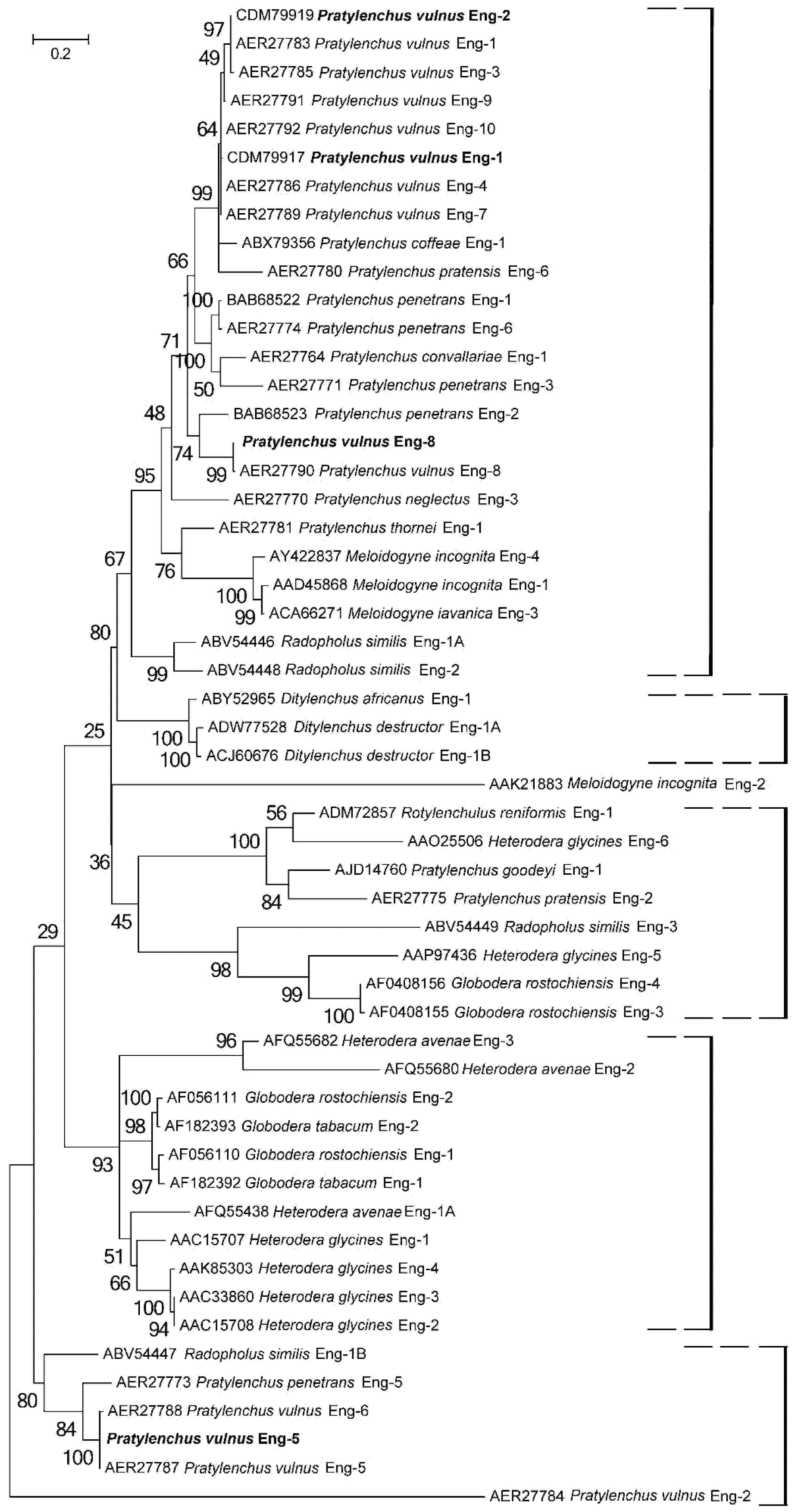 Ijms 20 00107 g001 Ijms 20 00107 g001