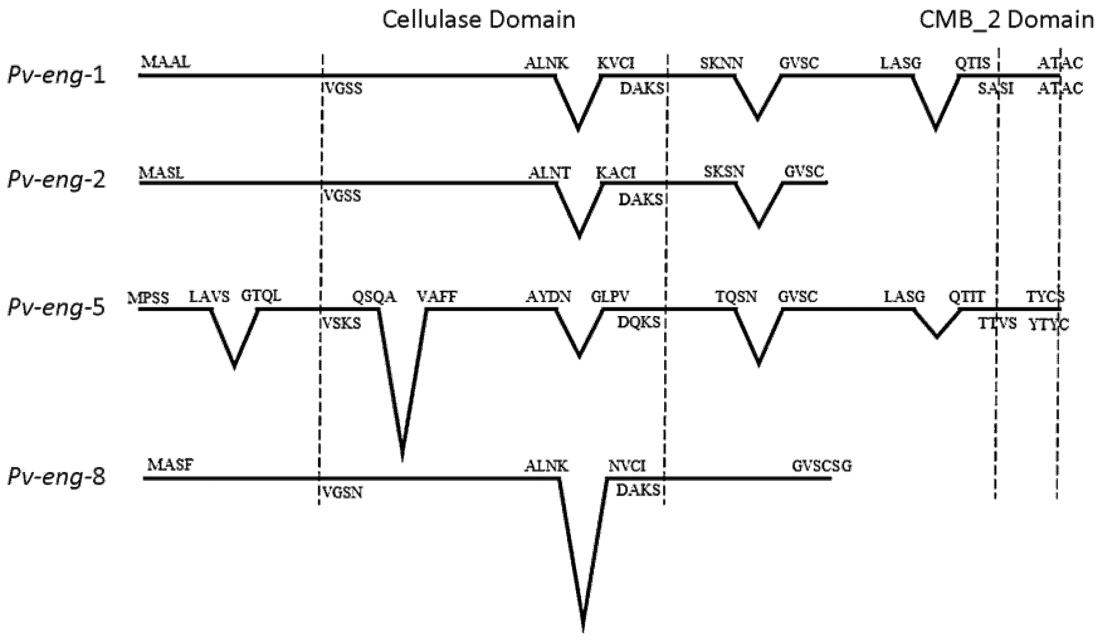 Ijms 20 00107 g002 Ijms 20 00107 g002