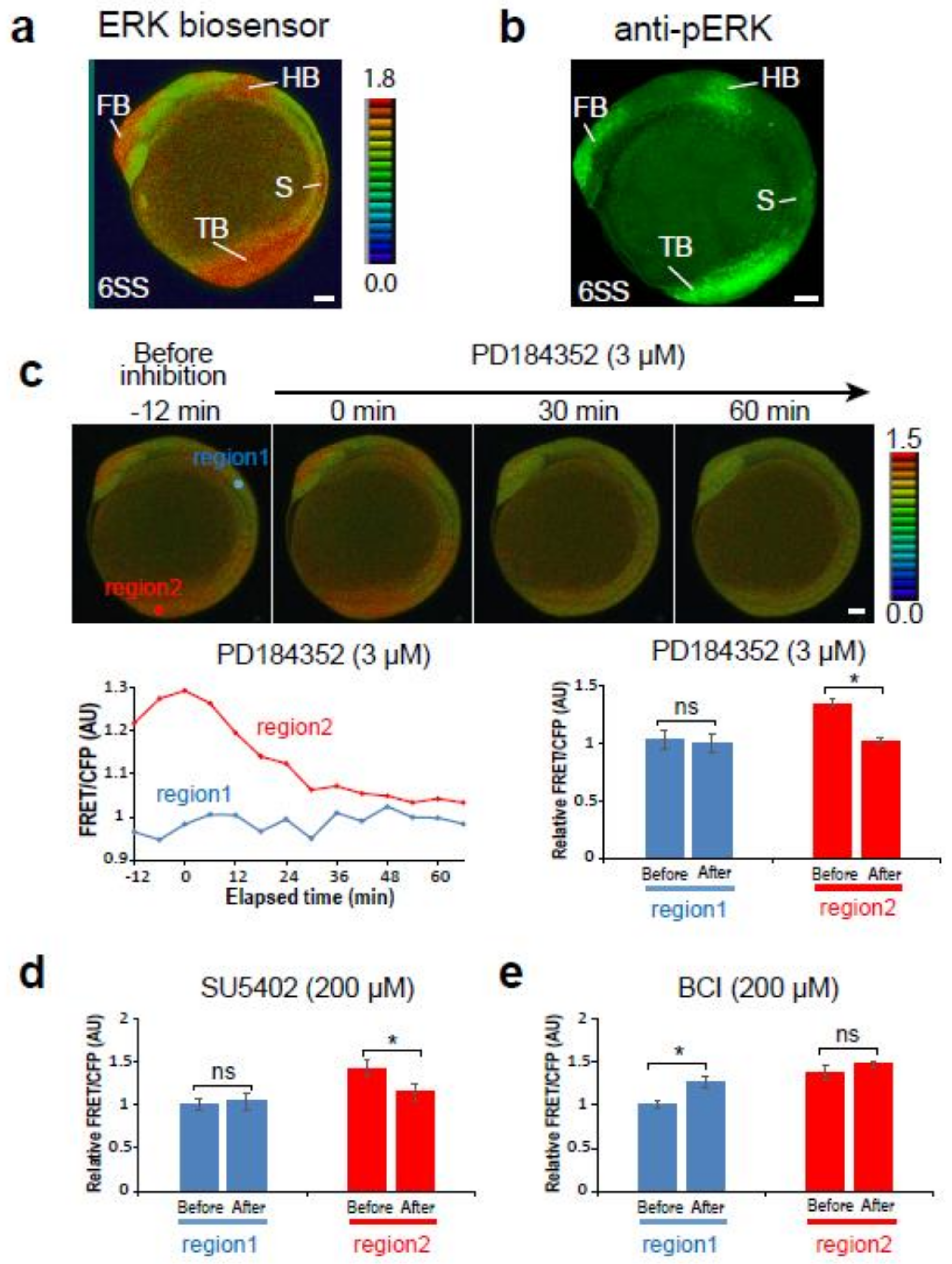 Ijms 20 00109 g001 Ijms 20 00109 g001