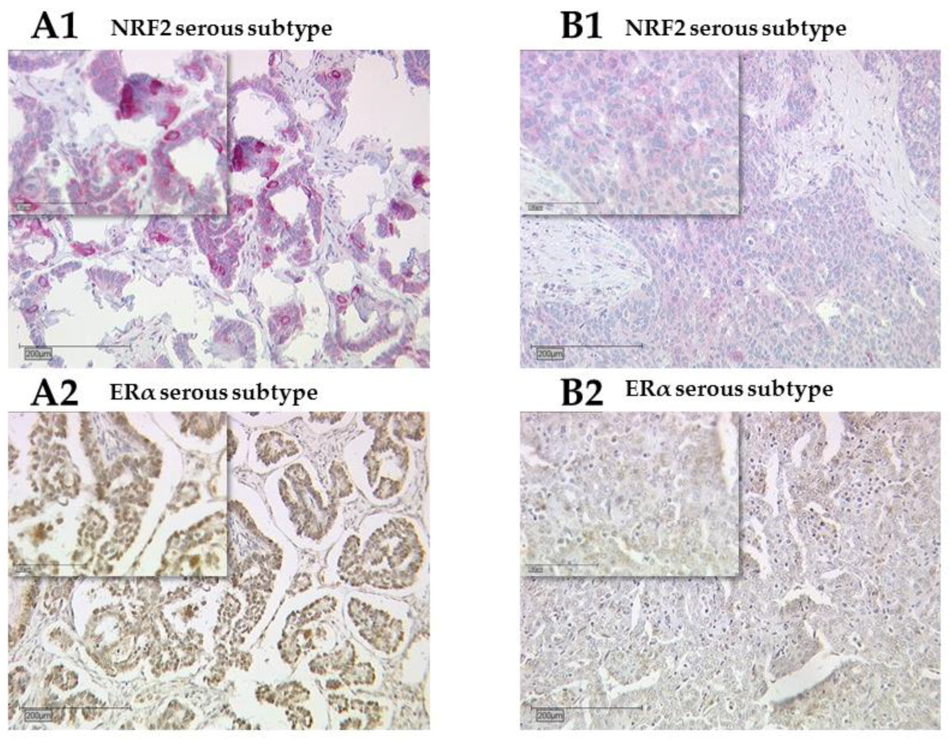 Ijms 20 00112 g001 Ijms 20 00112 g001