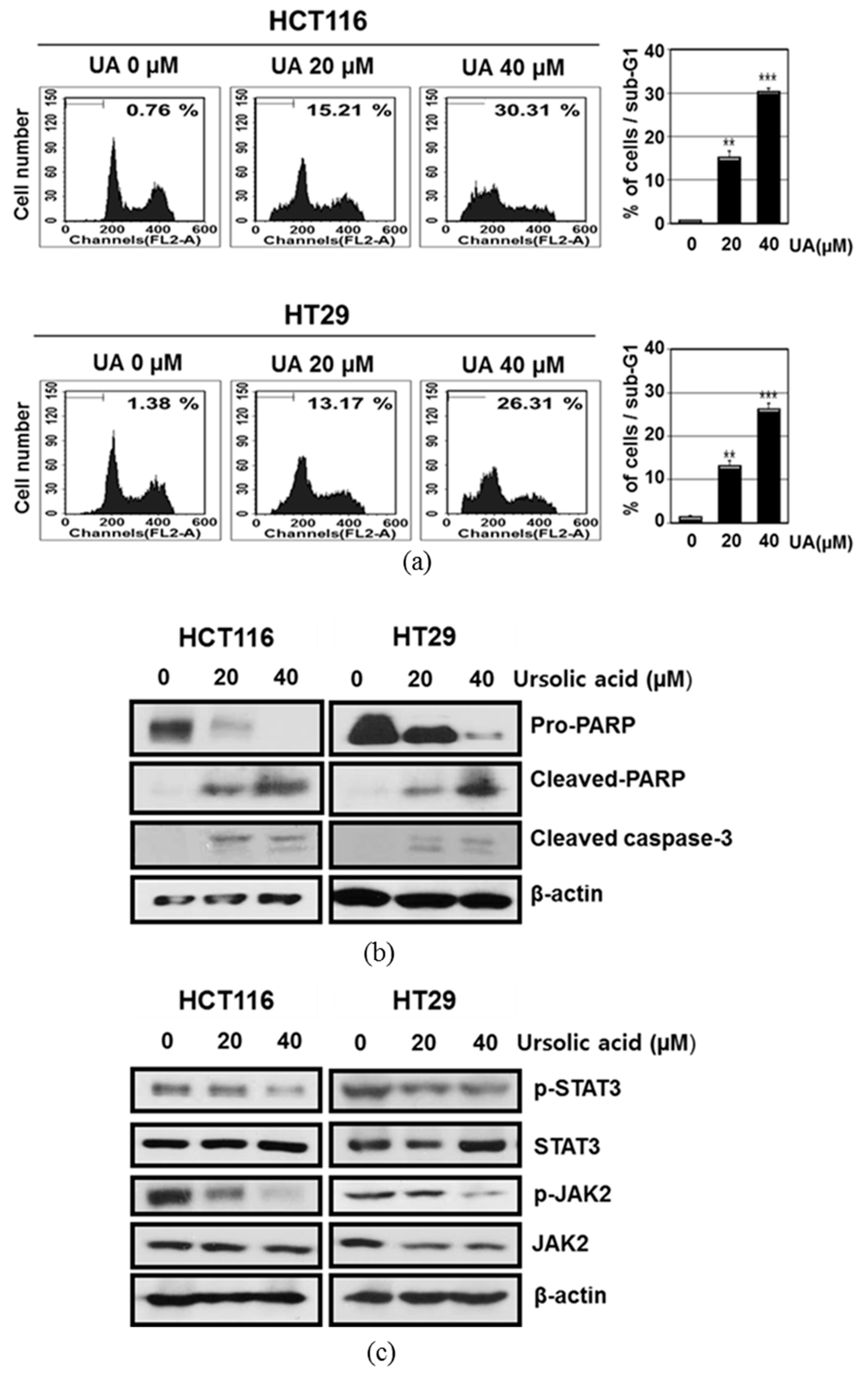 Ijms 20 00114 g002 Ijms 20 00114 g002
